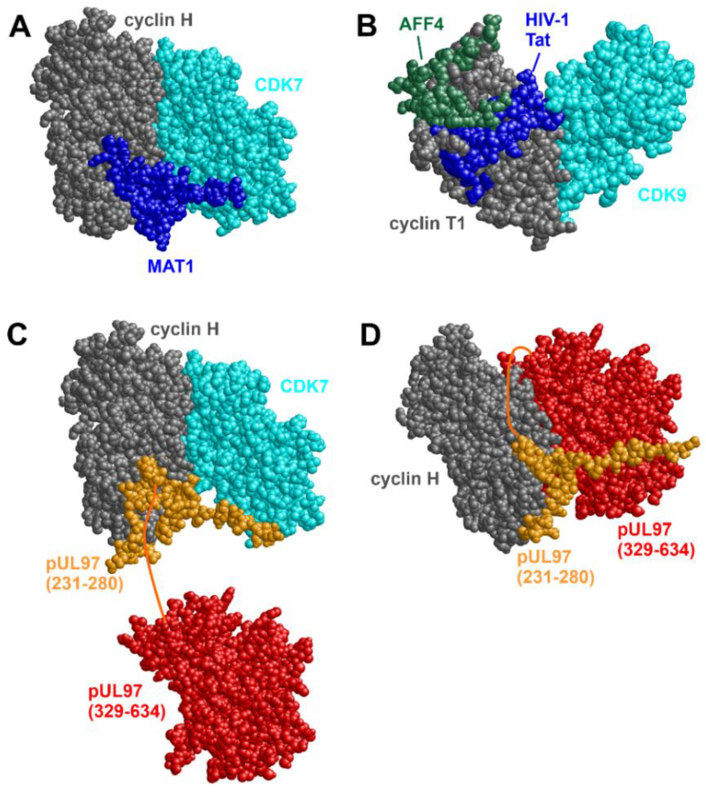 Cells 13 01338 g002 Cells 13 01338 g002