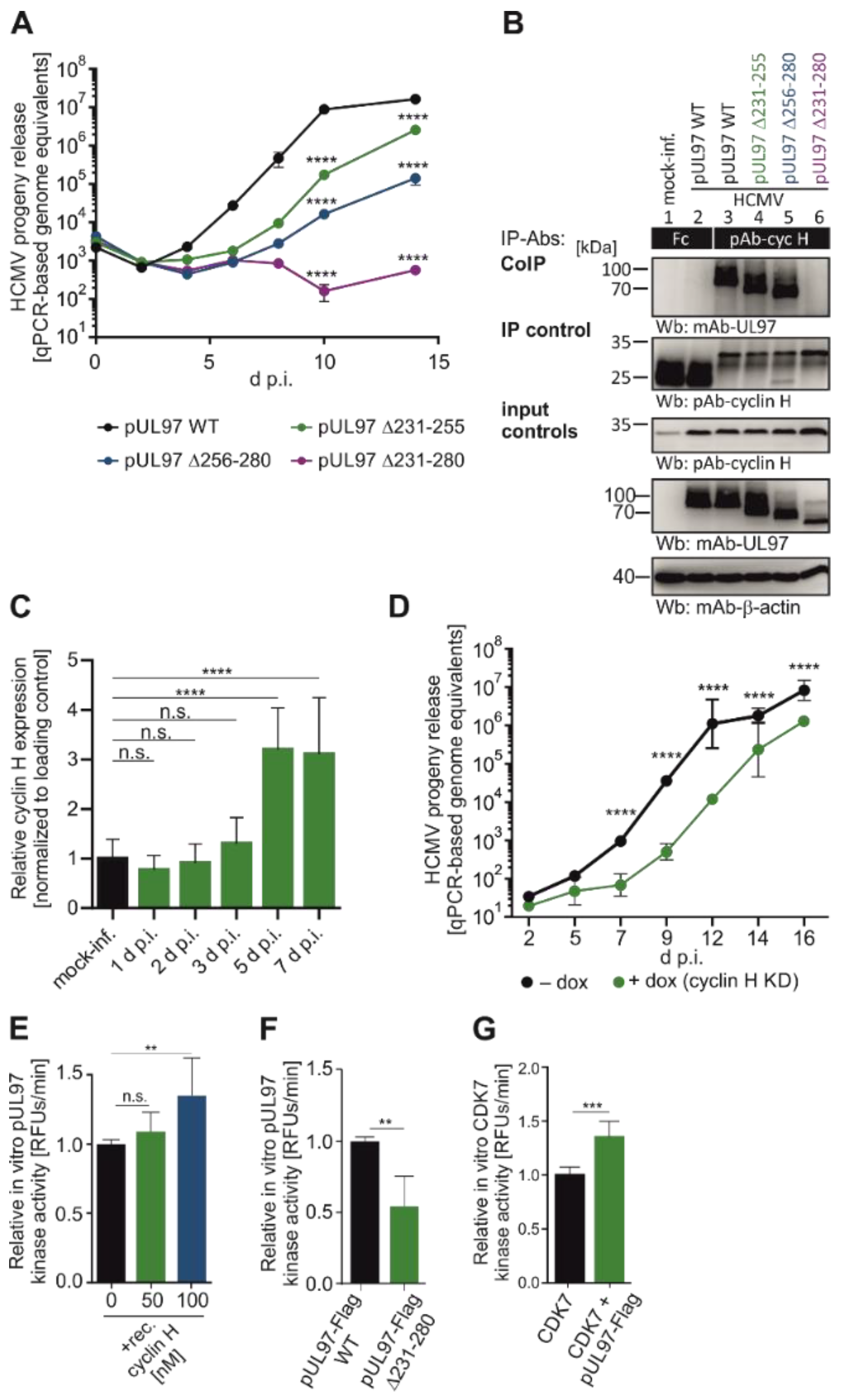 Cells 13 01338 g003 Cells 13 01338 g003