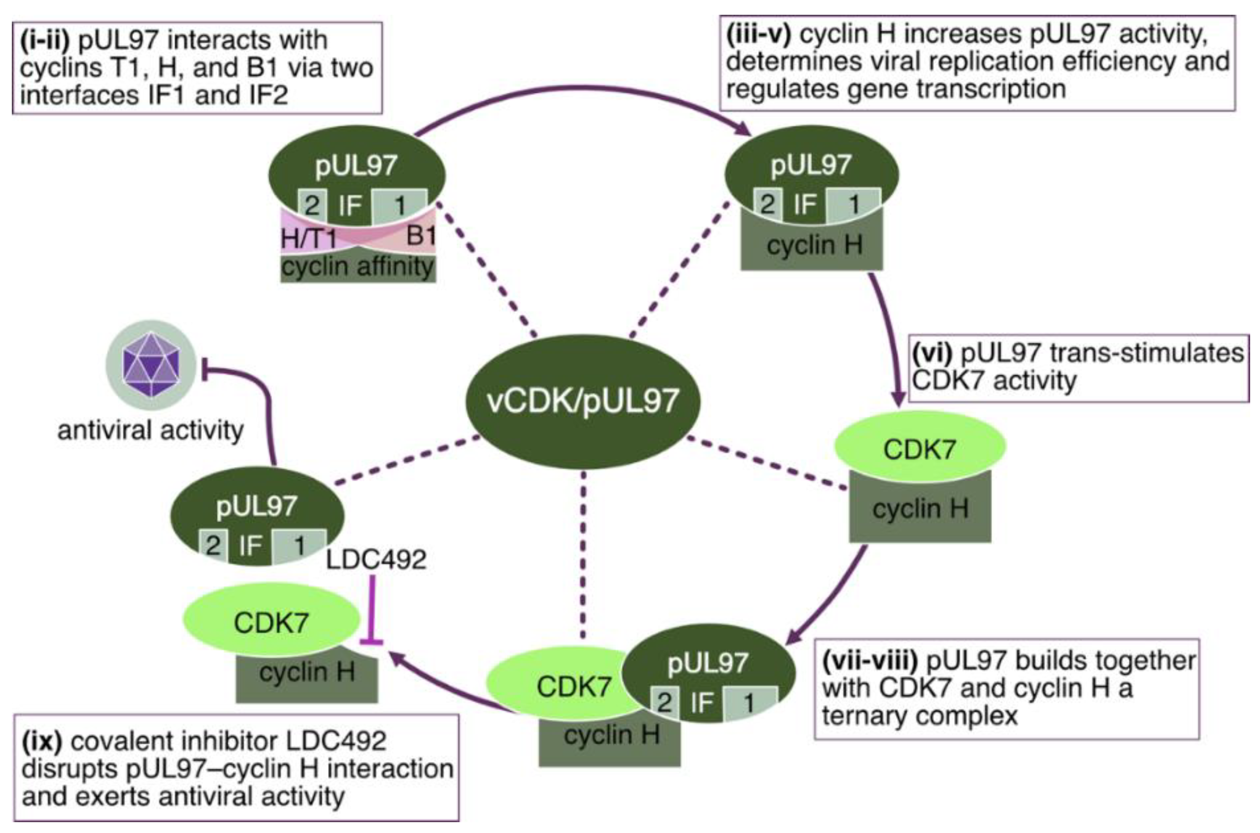 Cells 13 01338 g004 Cells 13 01338 g004