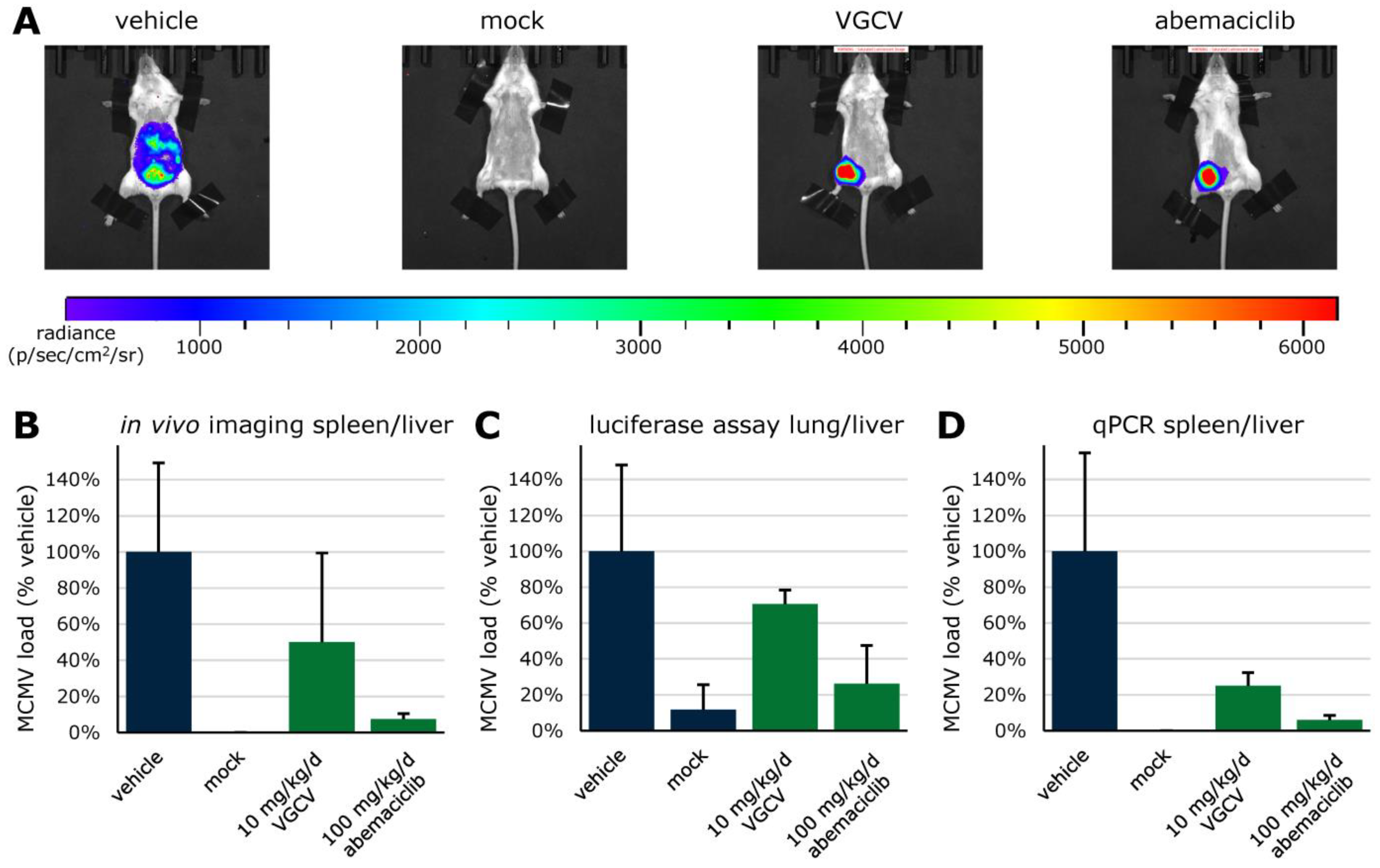 Cells 13 01338 g007 Cells 13 01338 g007