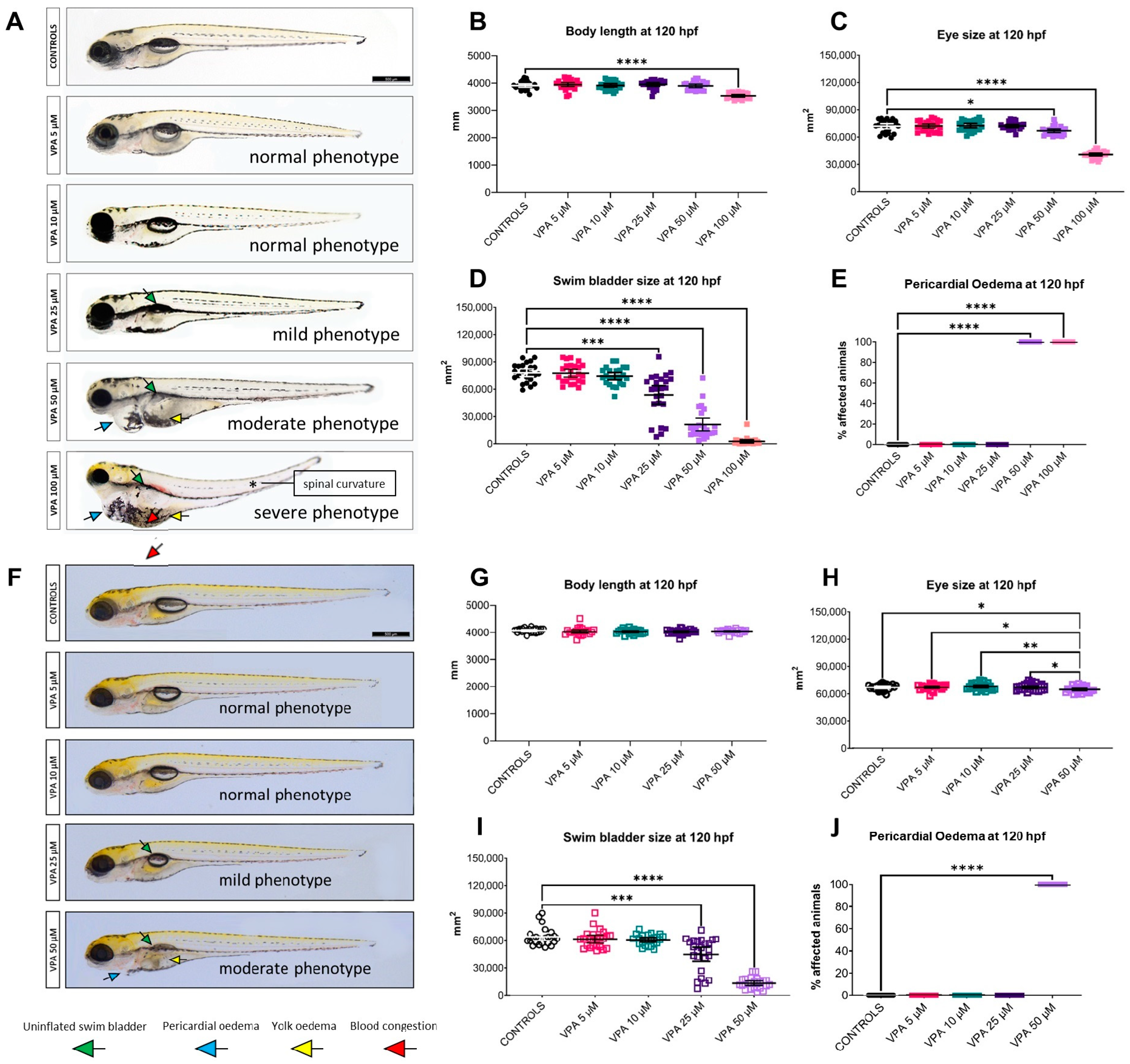 Cells 13 01349 g003 Cells 13 01349 g003