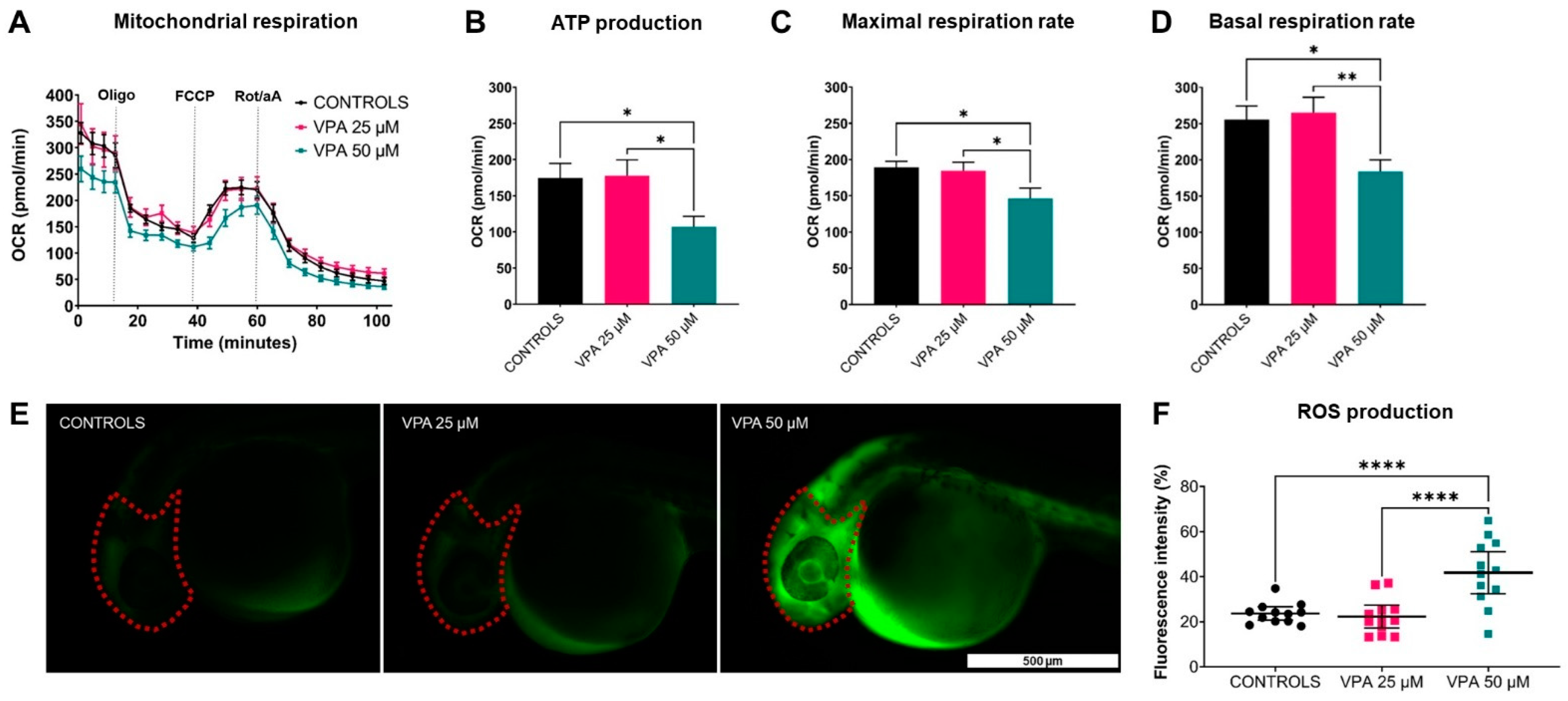 Cells 13 01349 g005 Cells 13 01349 g005