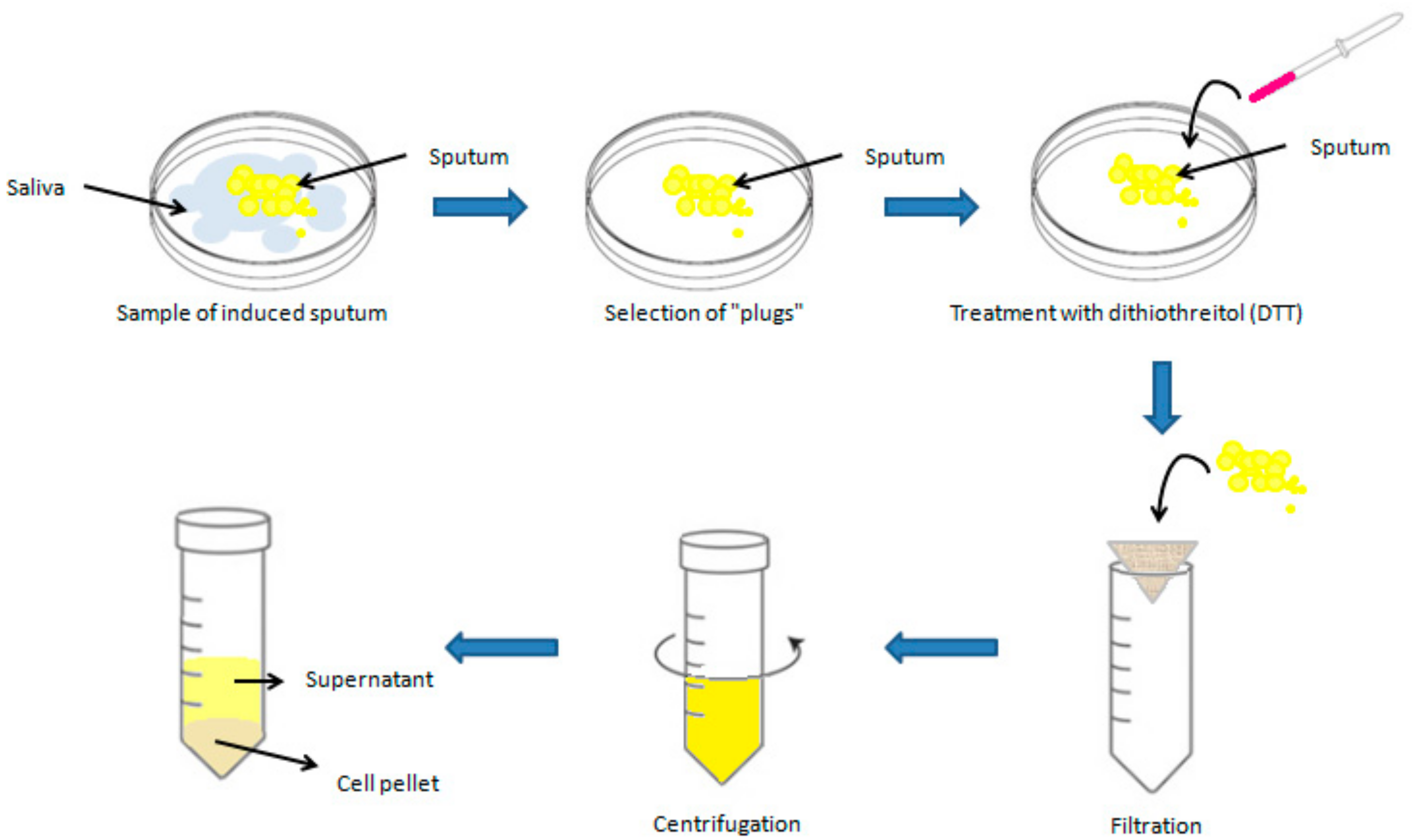 Cells 13 01355 g003 Cells 13 01355 g003