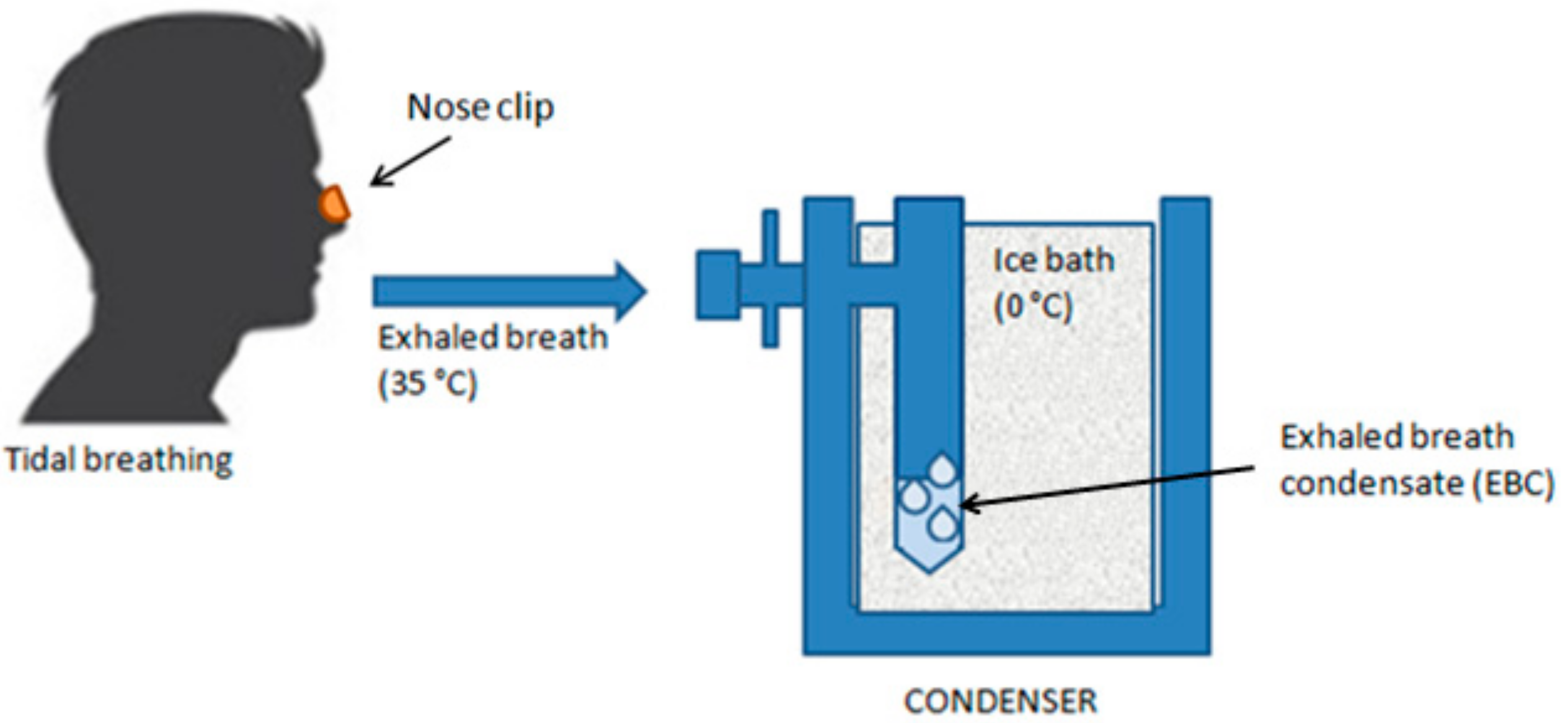 Cells 13 01355 g005 Cells 13 01355 g005