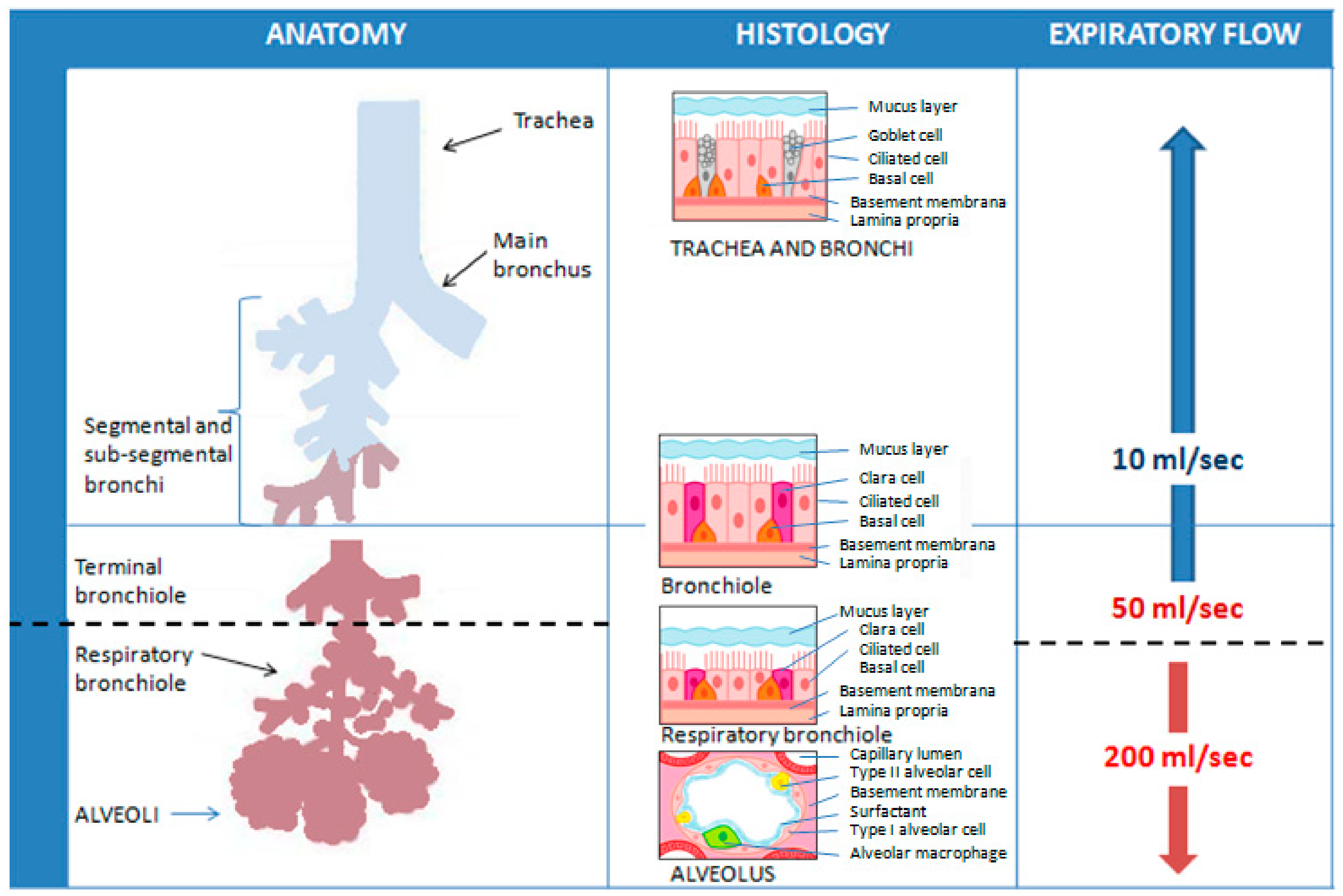 Cells 13 01355 g008 Cells 13 01355 g008
