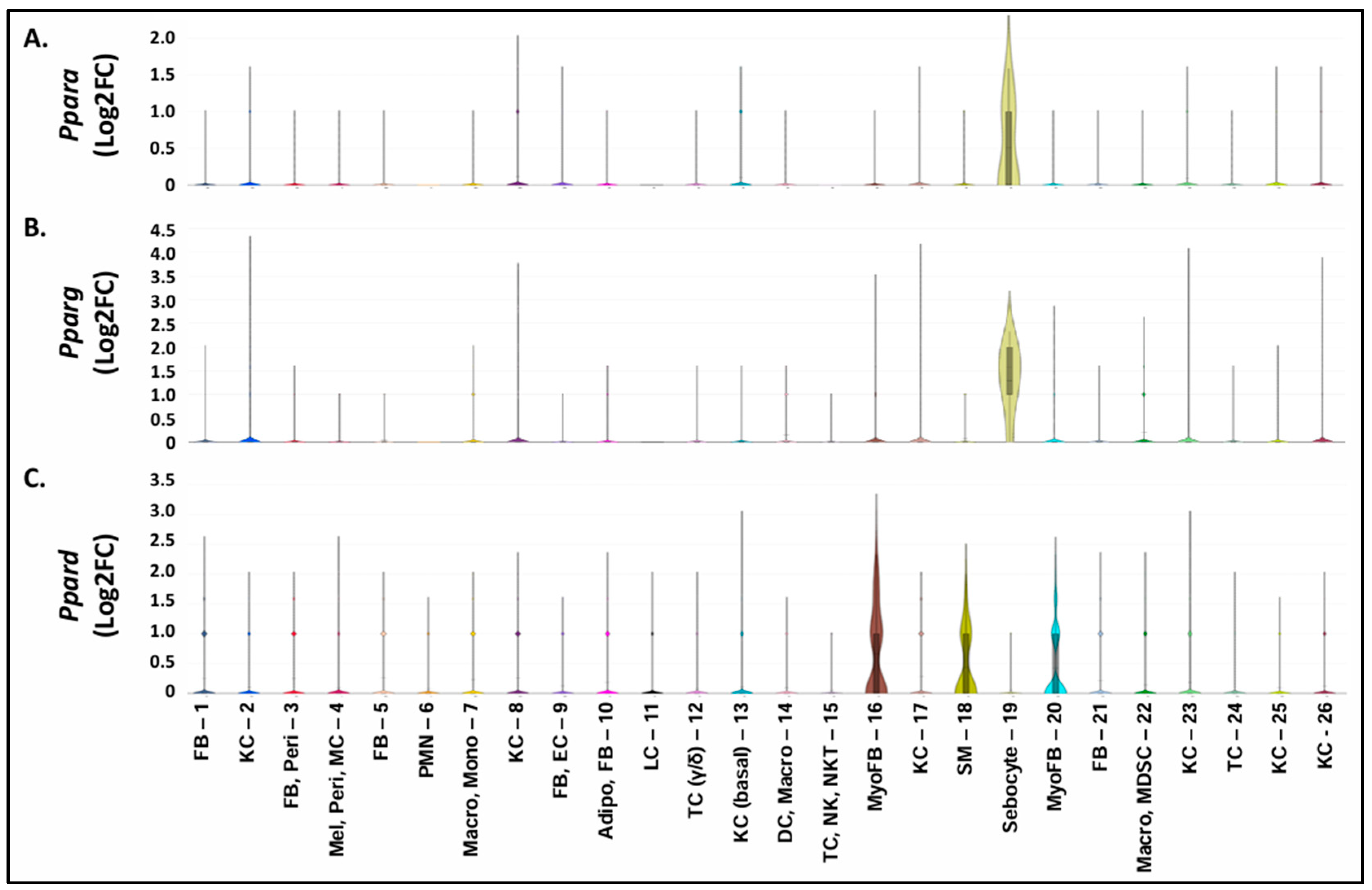Cells 13 01356 g006 Cells 13 01356 g006