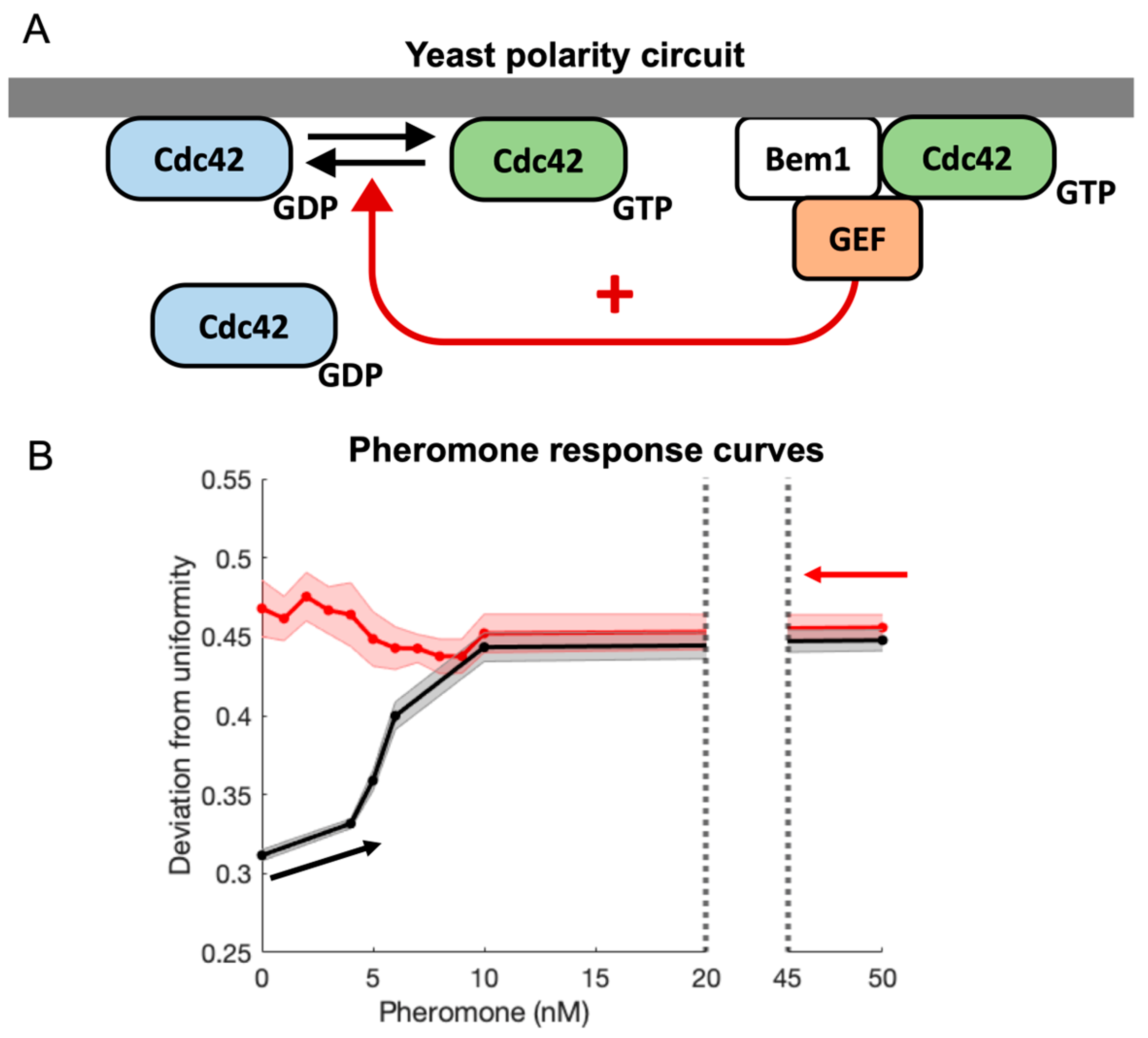 Cells 13 01358 g001 Cells 13 01358 g001