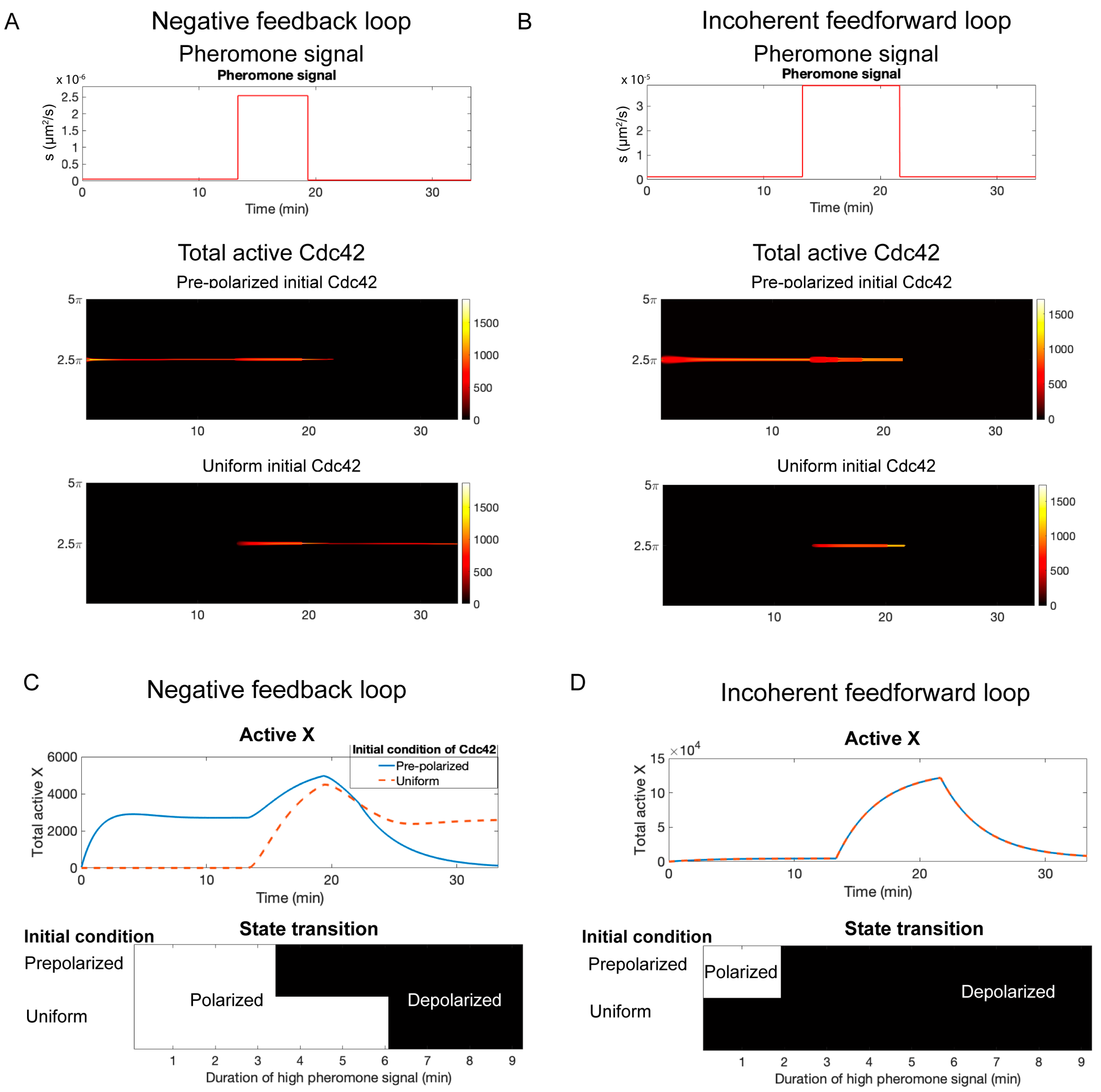 Cells 13 01358 g007 Cells 13 01358 g007