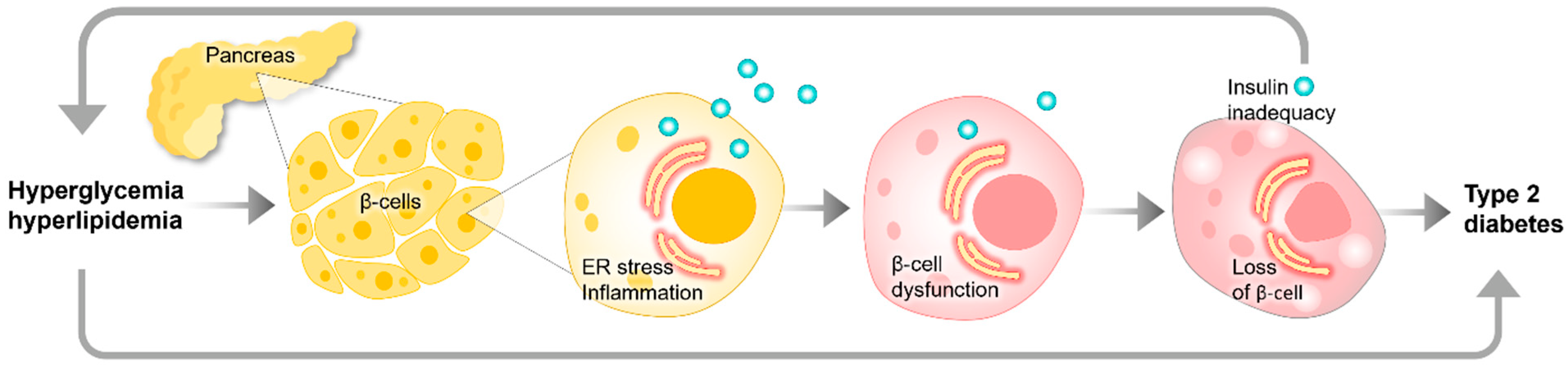 Cells 13 01359 g001 Cells 13 01359 g001