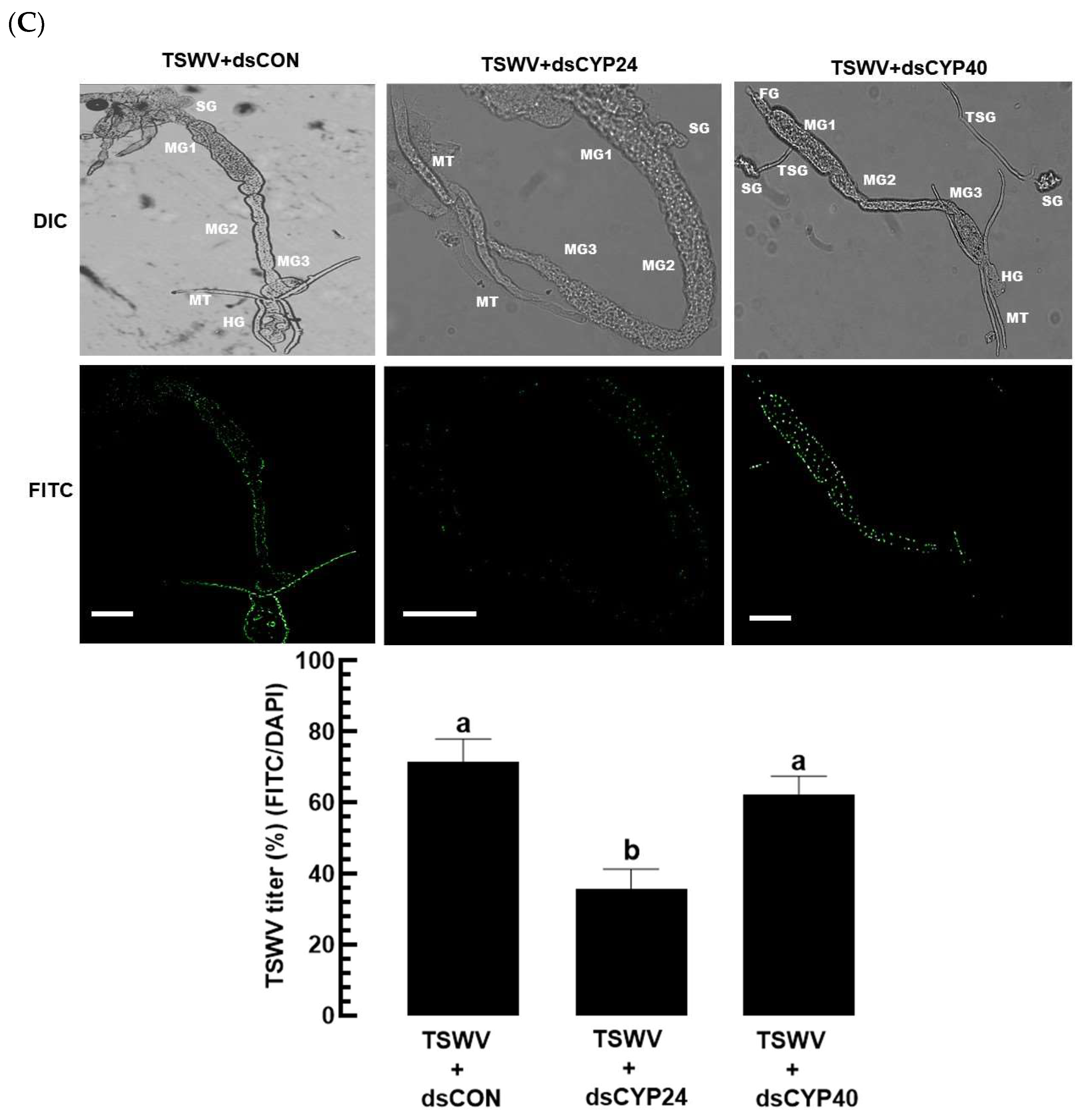 Cells 13 01377 g005b