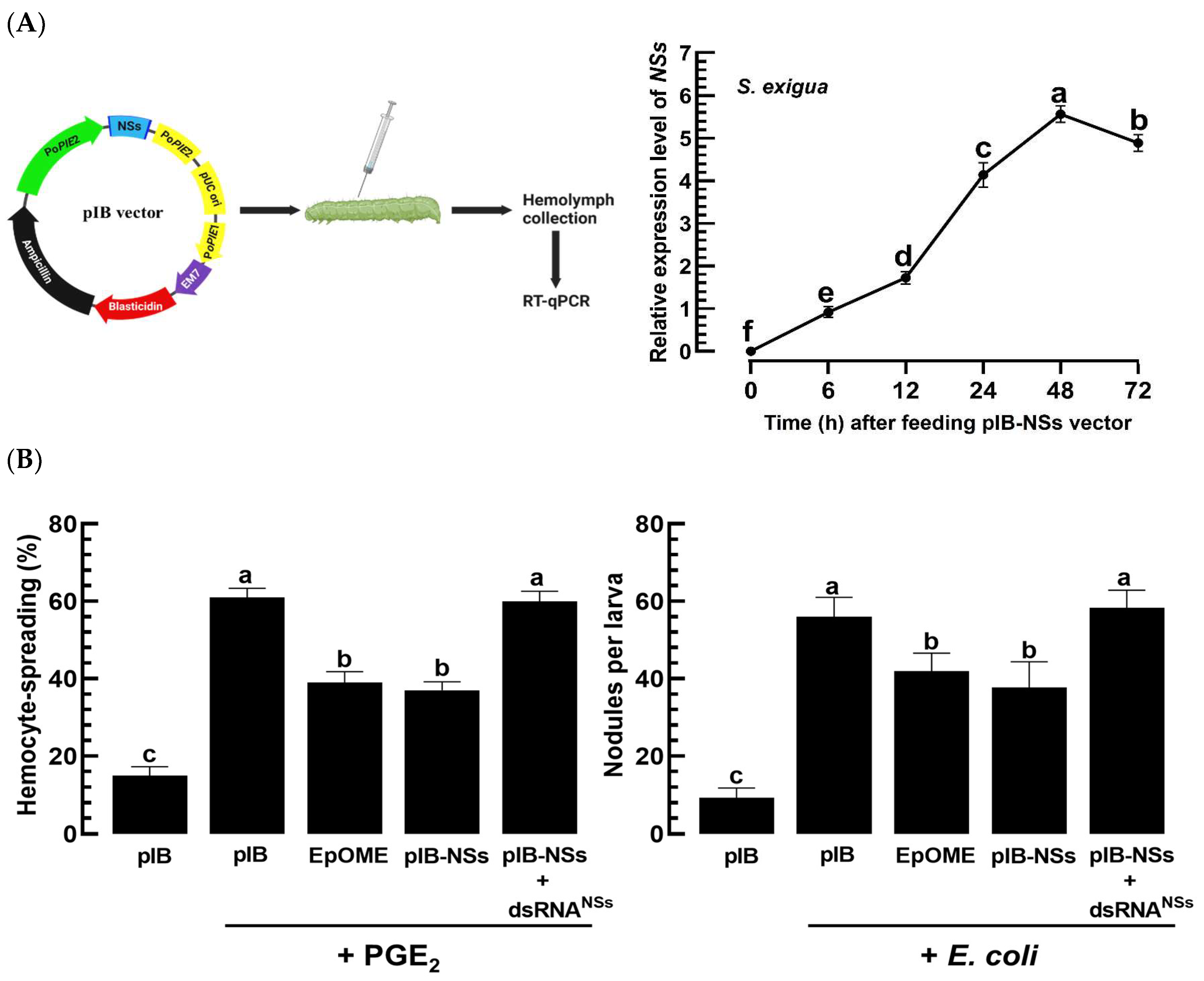 Cells 13 01377 g009a