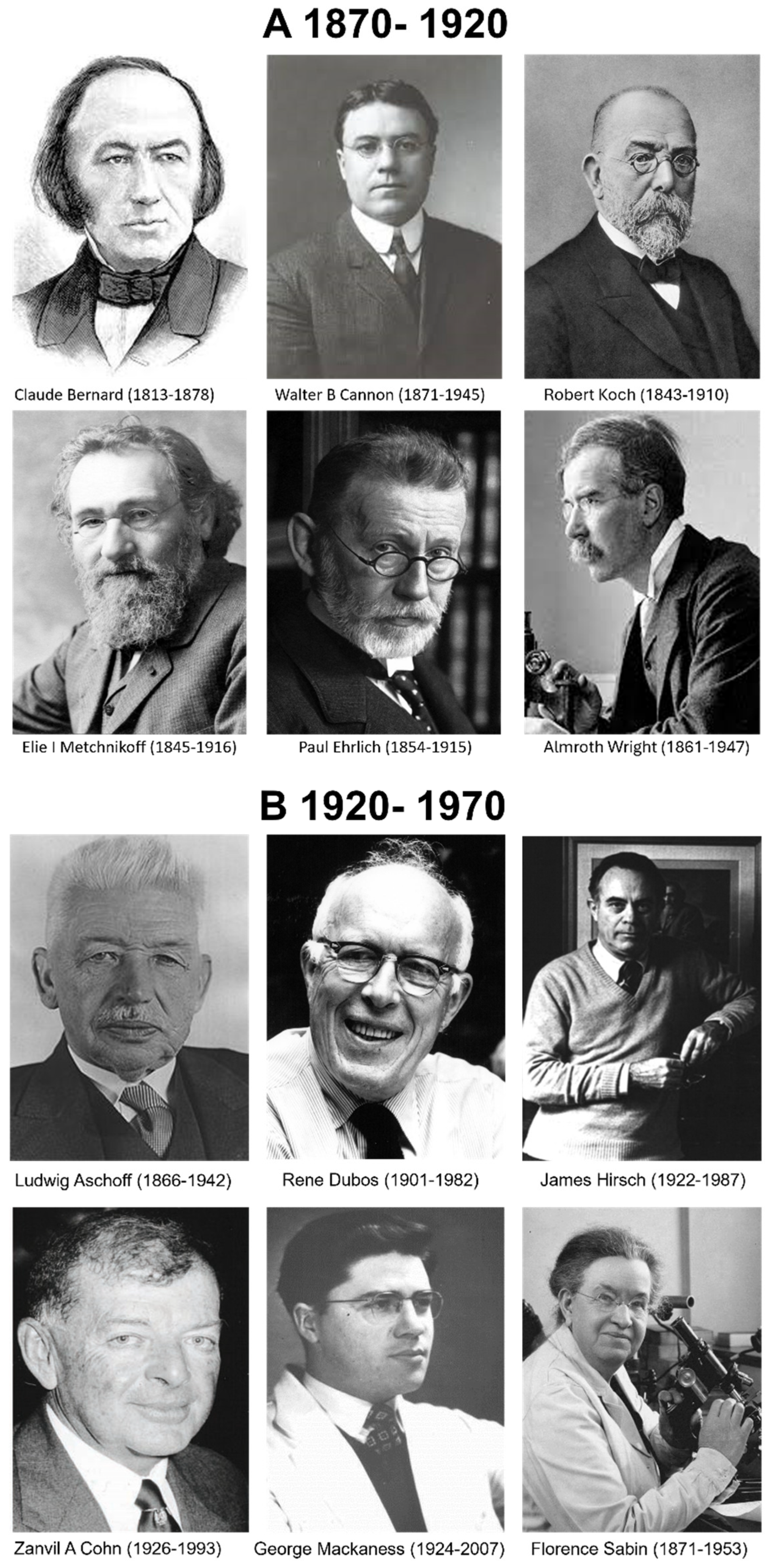 Cells 13 01378 g001a Cells 13 01378 g001a