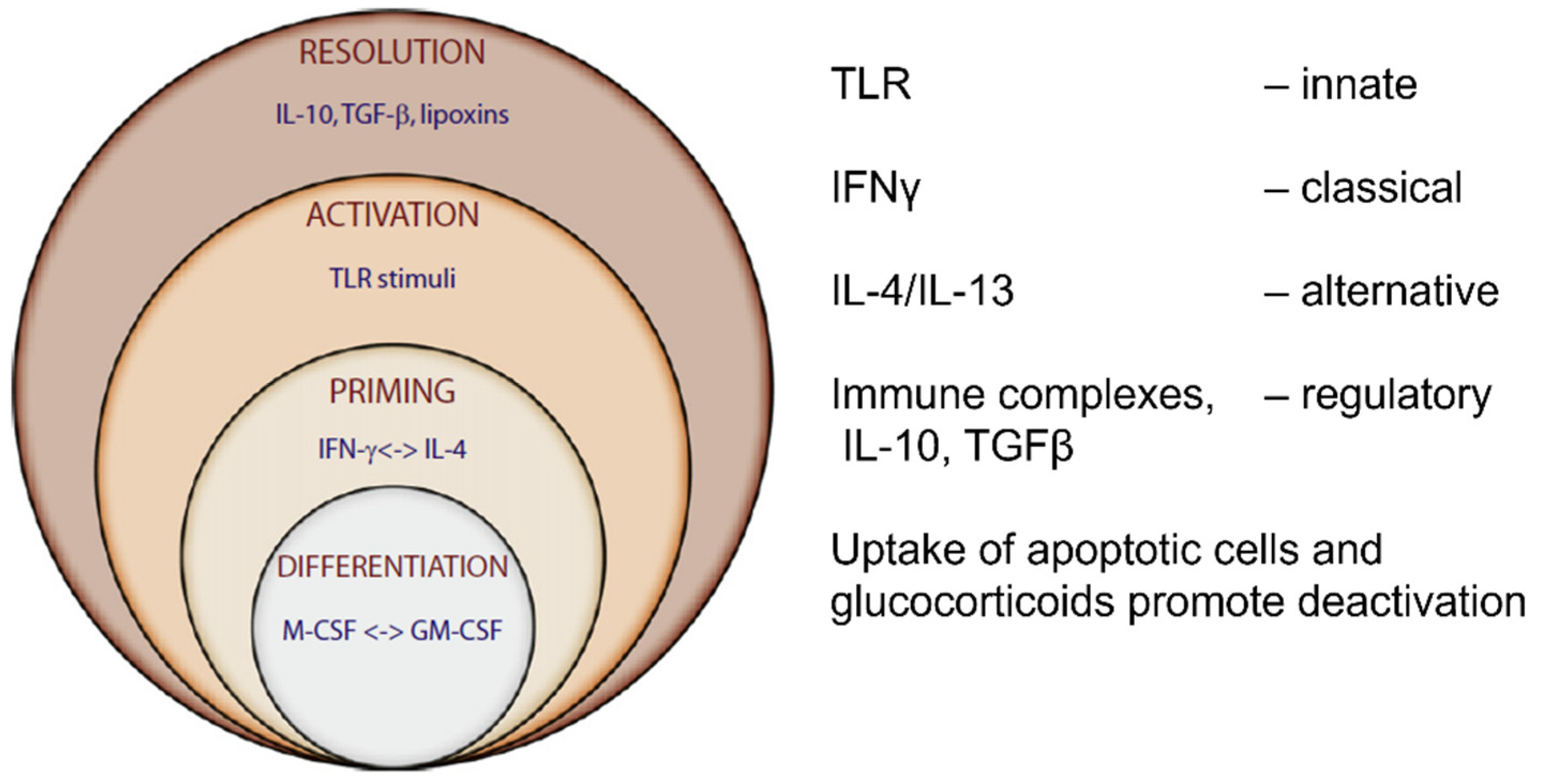Cells 13 01378 g007 Cells 13 01378 g007