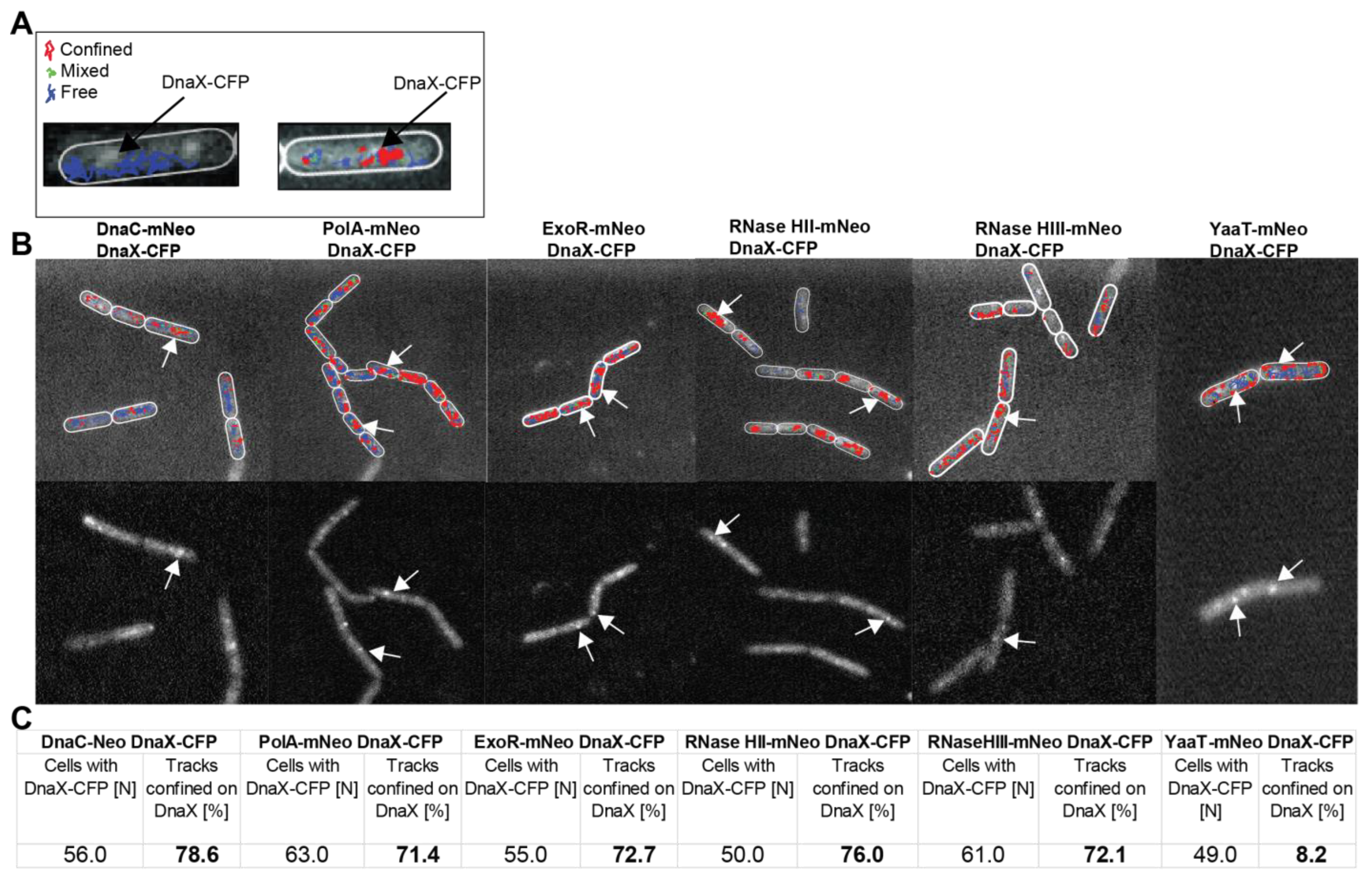 Cells 13 01381 g004 Cells 13 01381 g004