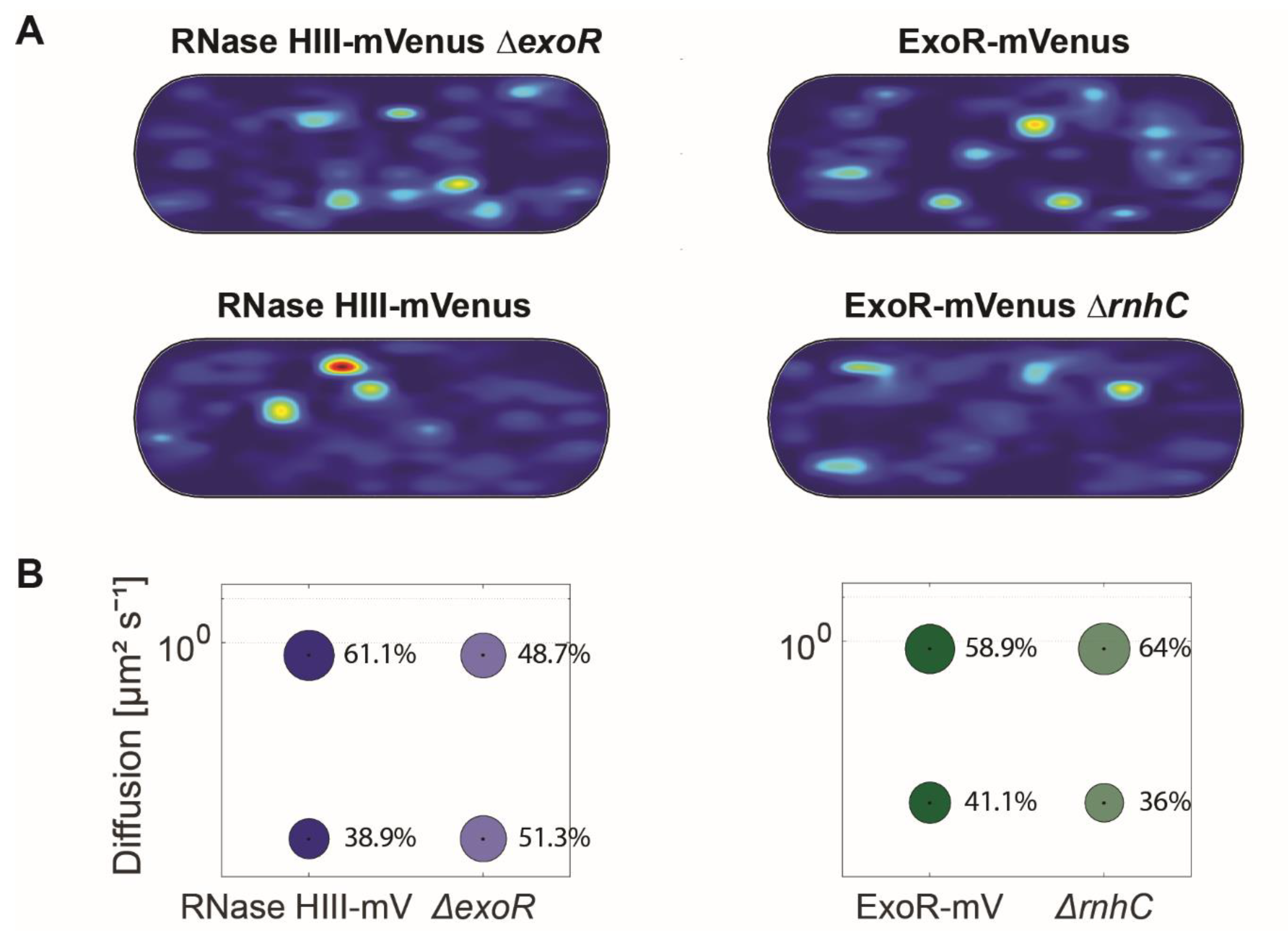 Cells 13 01381 g006 Cells 13 01381 g006