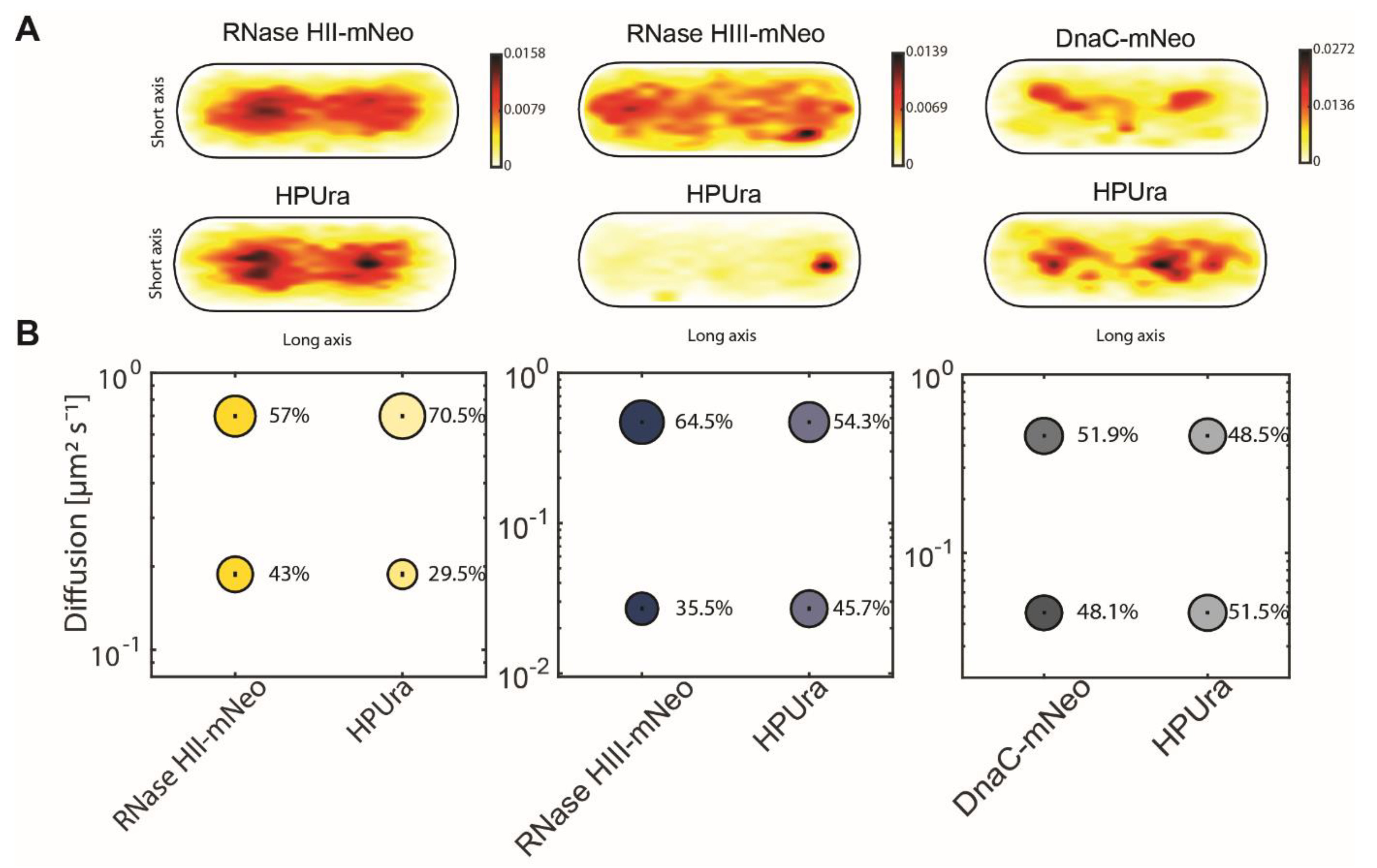 Cells 13 01381 g007 Cells 13 01381 g007