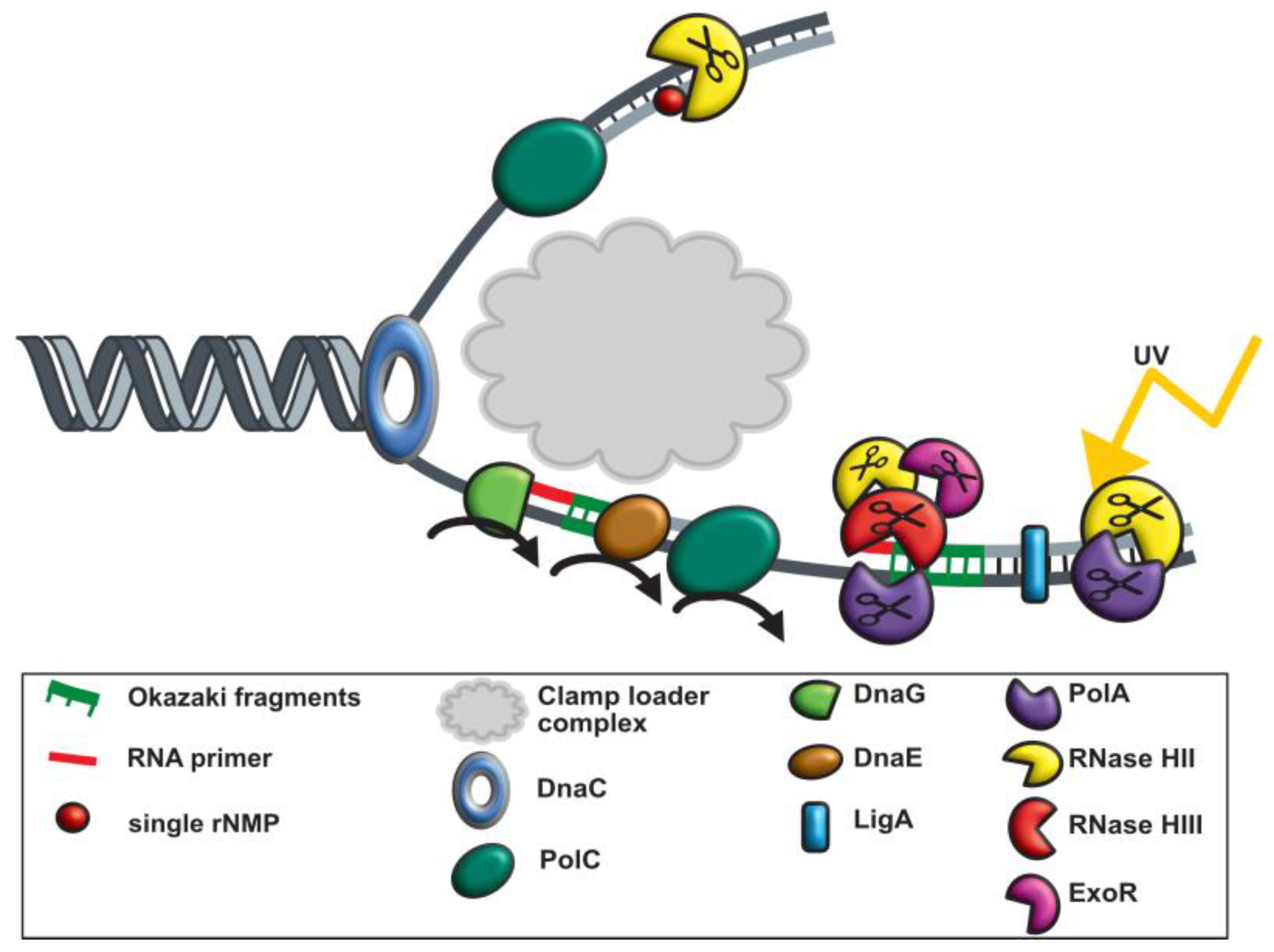 Cells 13 01381 g008 Cells 13 01381 g008