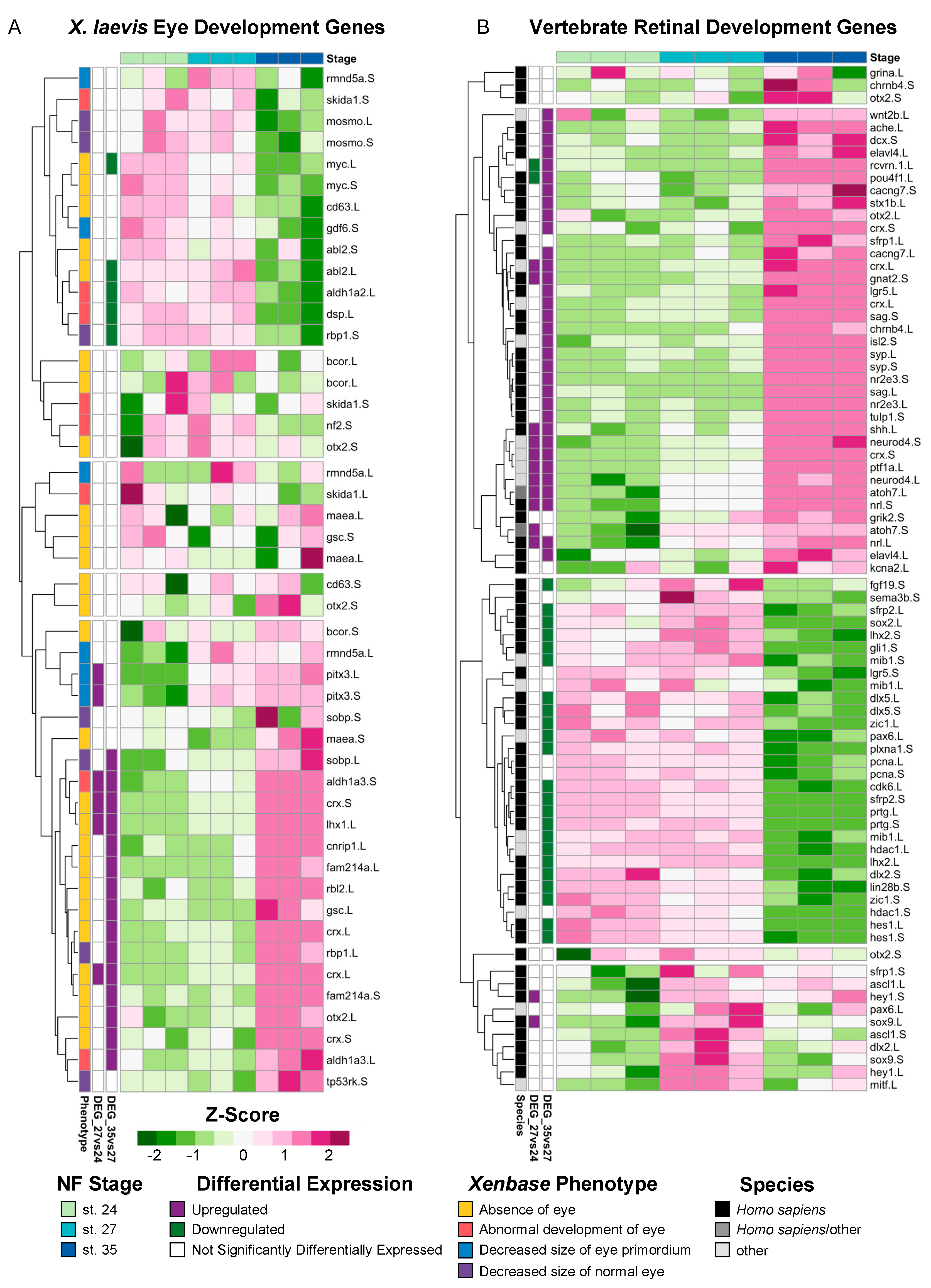 Cells 13 01390 g002 Cells 13 01390 g002