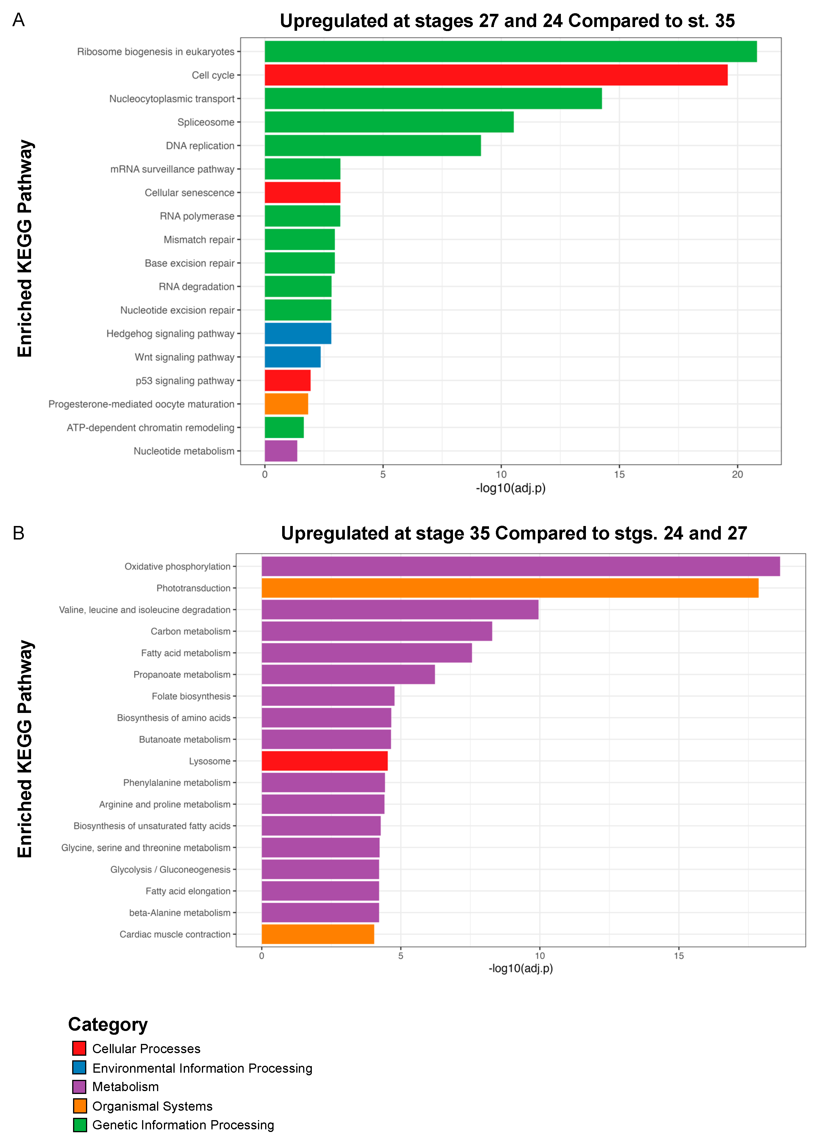 Cells 13 01390 g004 Cells 13 01390 g004