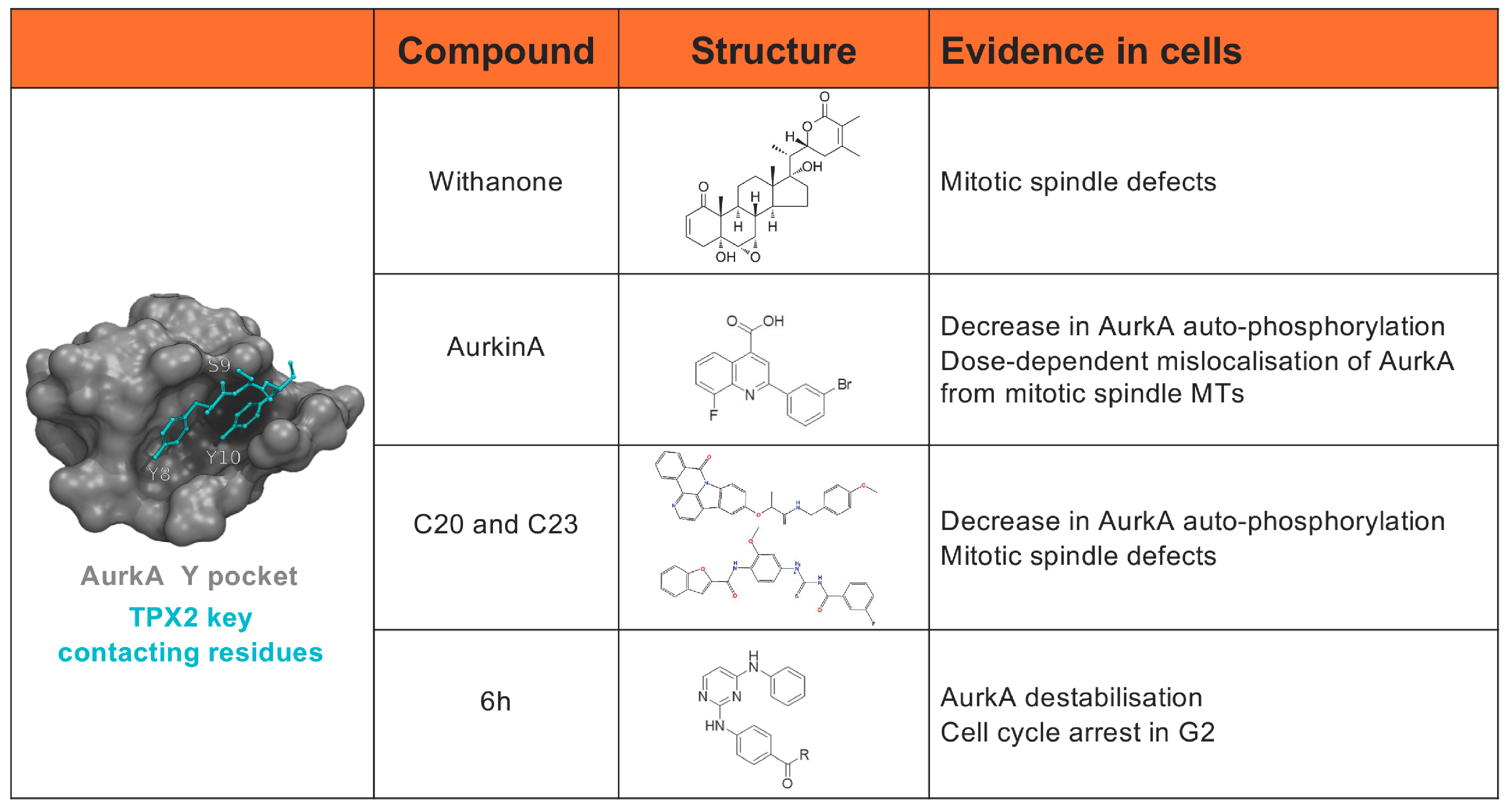 Cells 13 01397 g003 Cells 13 01397 g003
