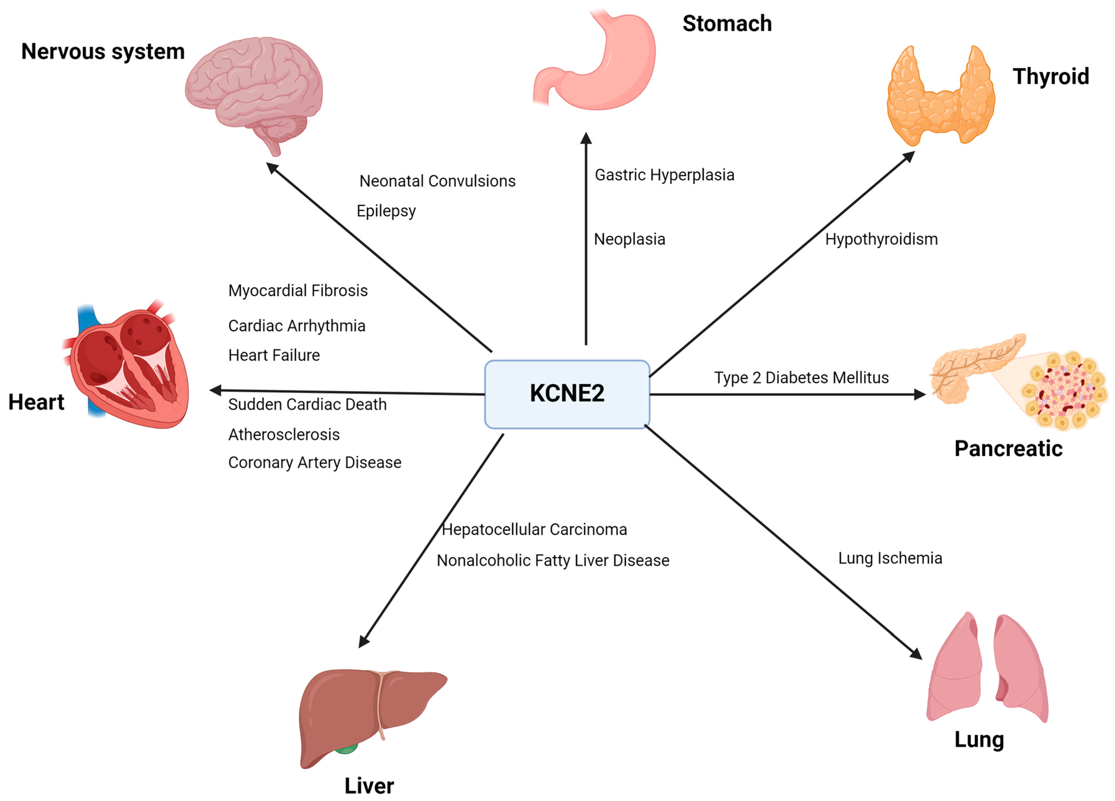 Cells 13 01409 g005 Cells 13 01409 g005