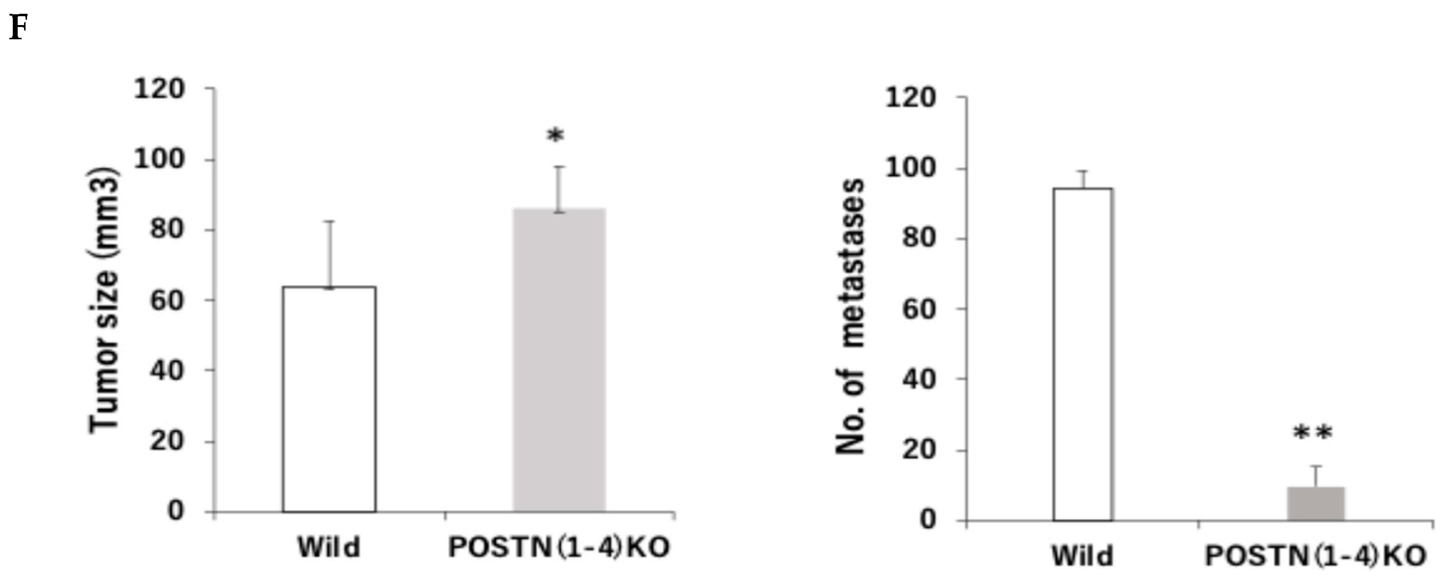 Cells 13 01410 g003b