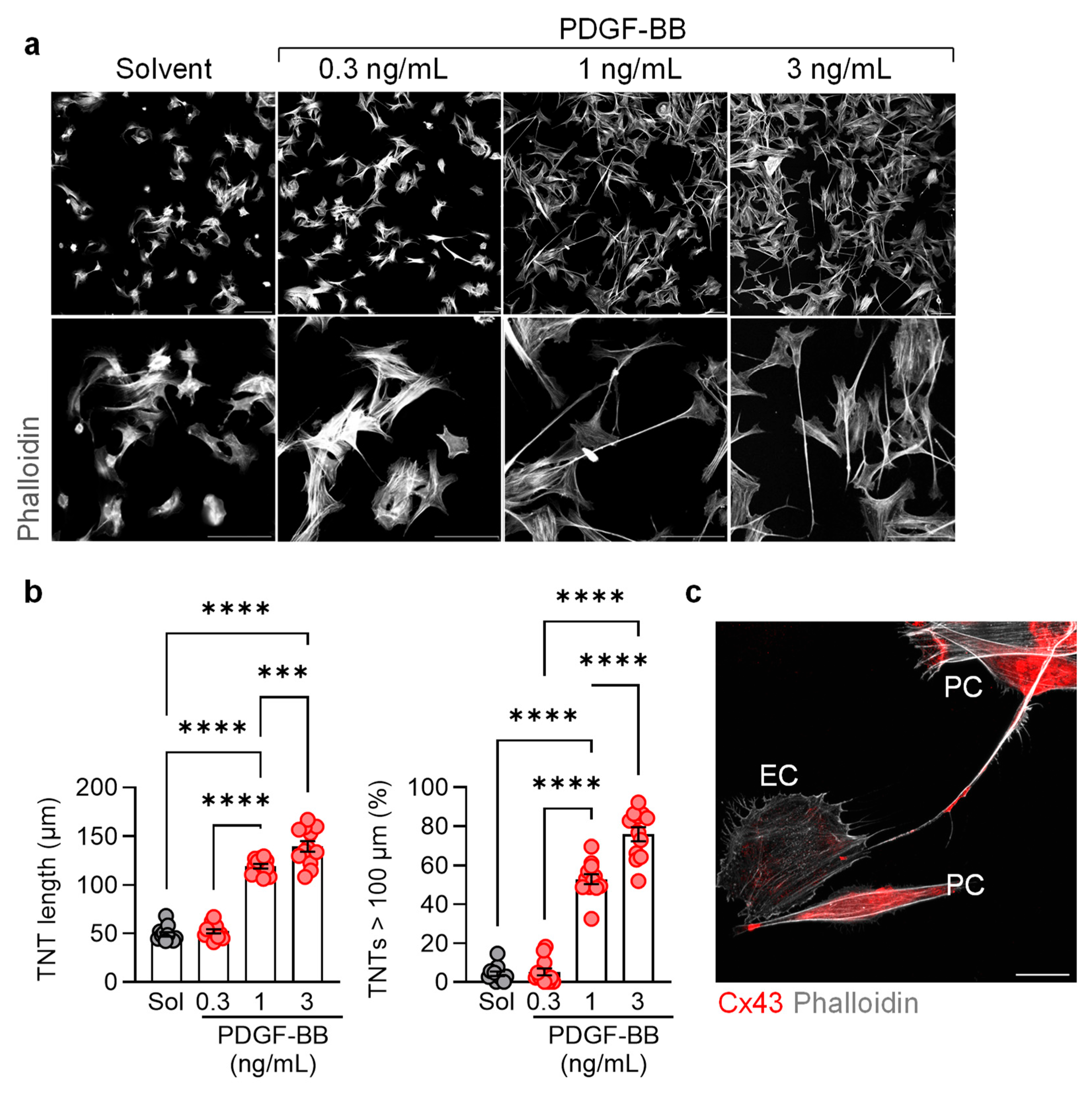 Cells 13 01429 g002 Cells 13 01429 g002