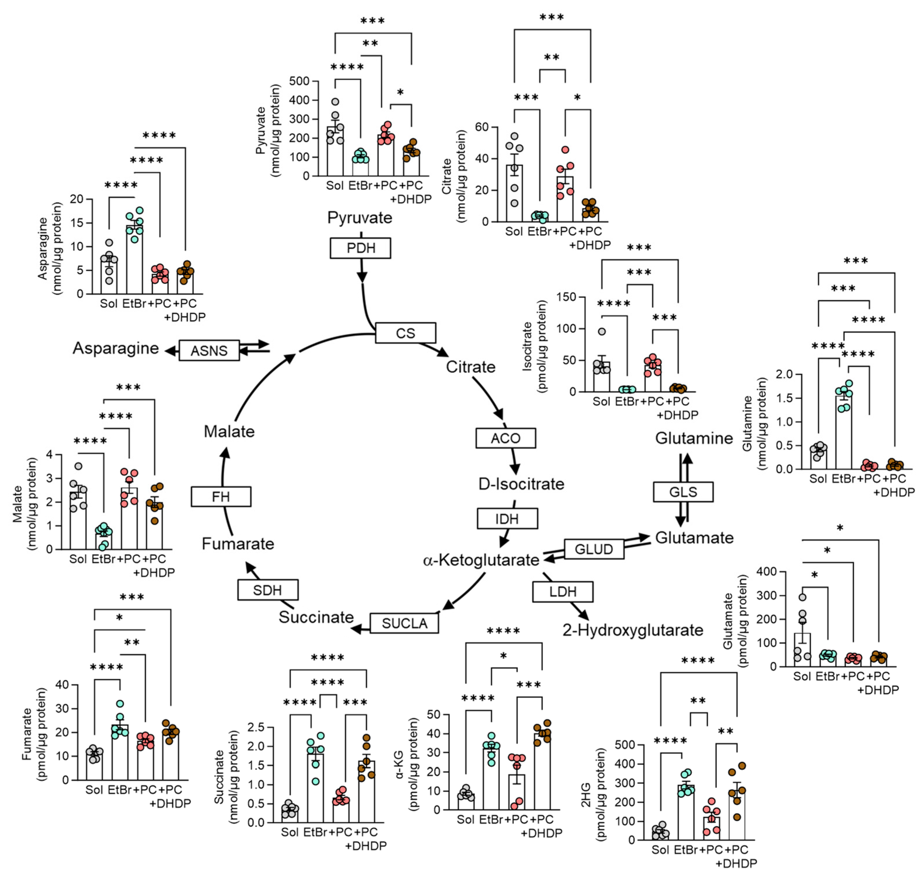 Cells 13 01429 g006 Cells 13 01429 g006