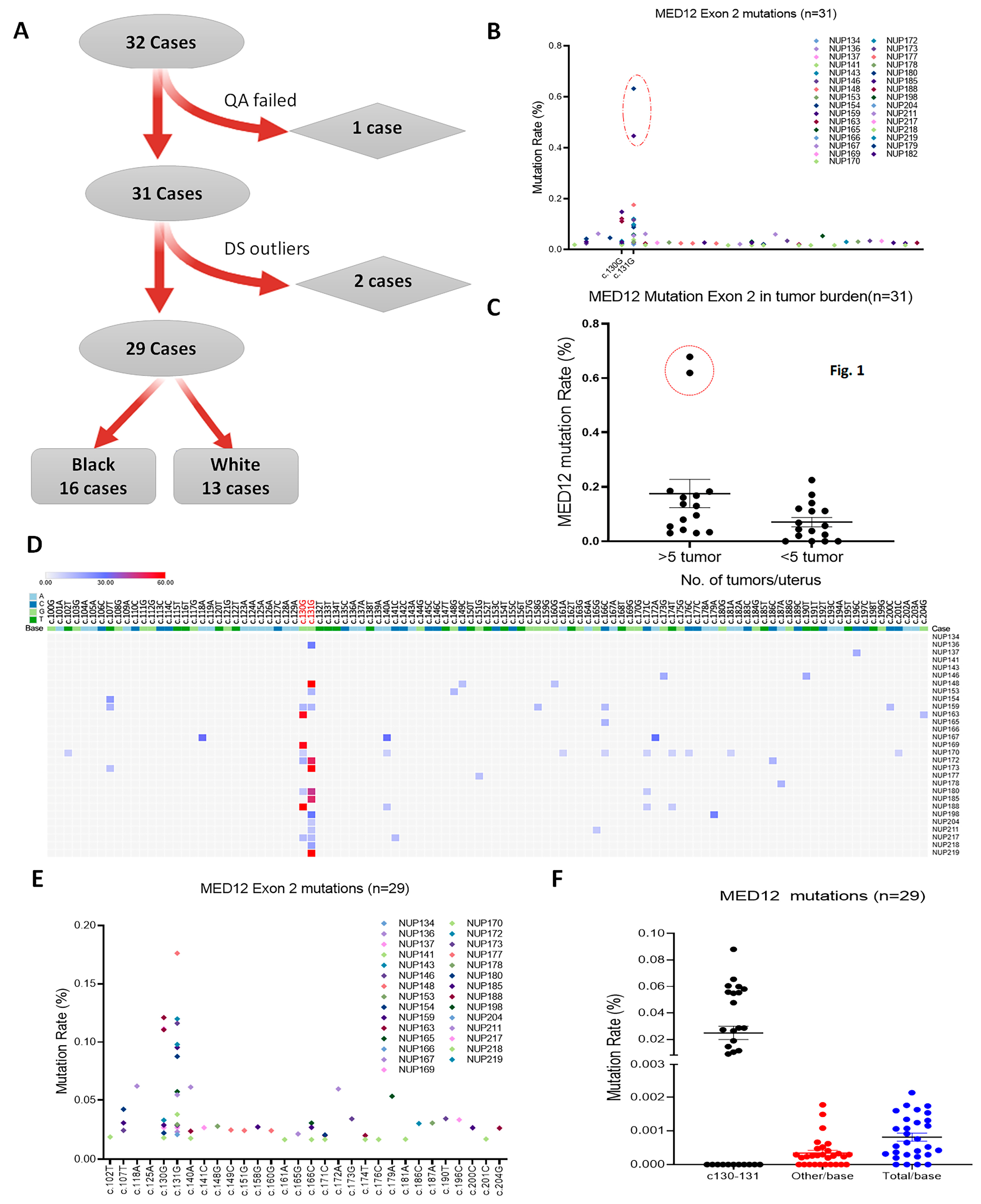 Cells 13 01432 g001 Cells 13 01432 g001