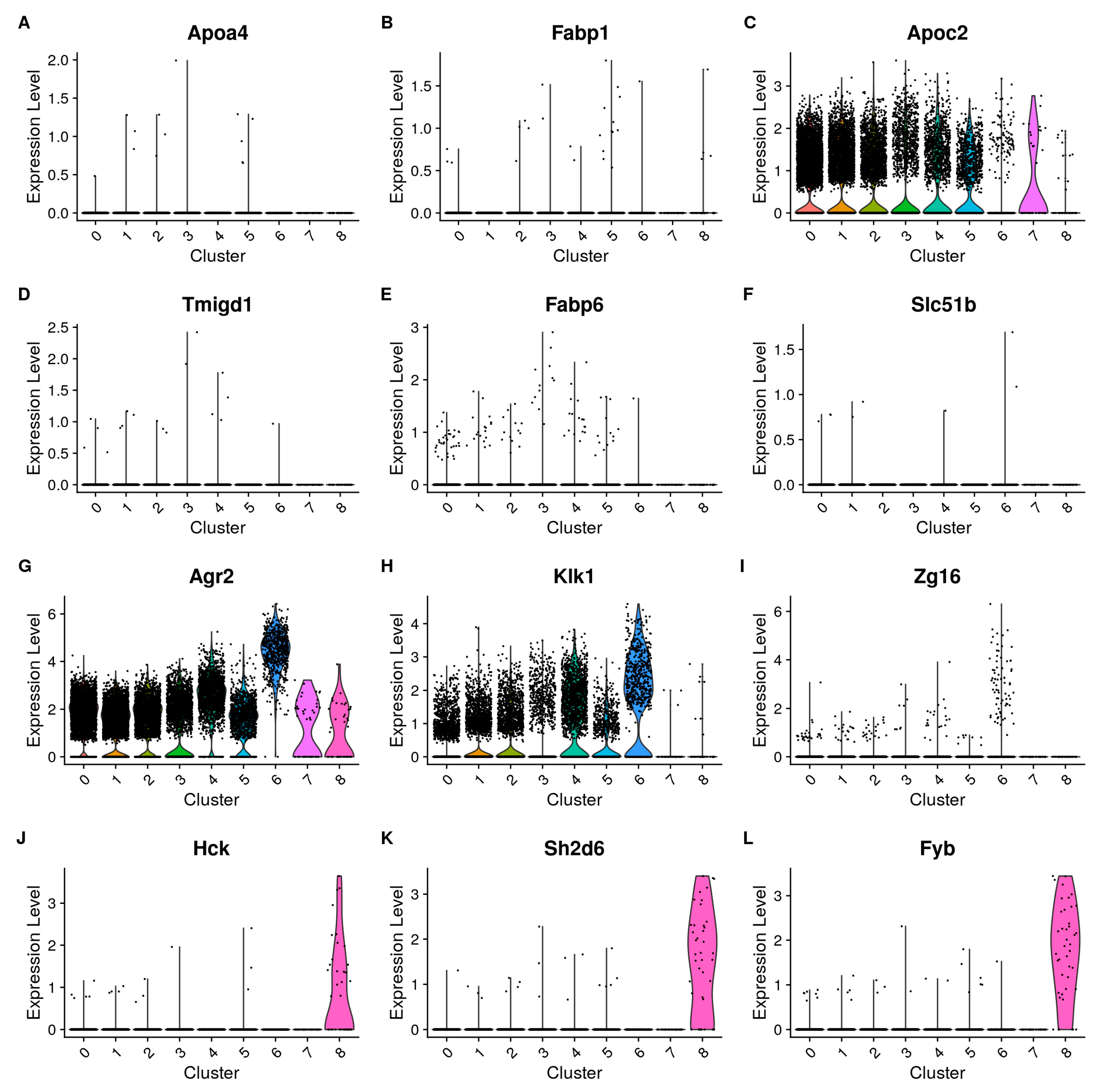 Cells 13 01435 g002 Cells 13 01435 g002