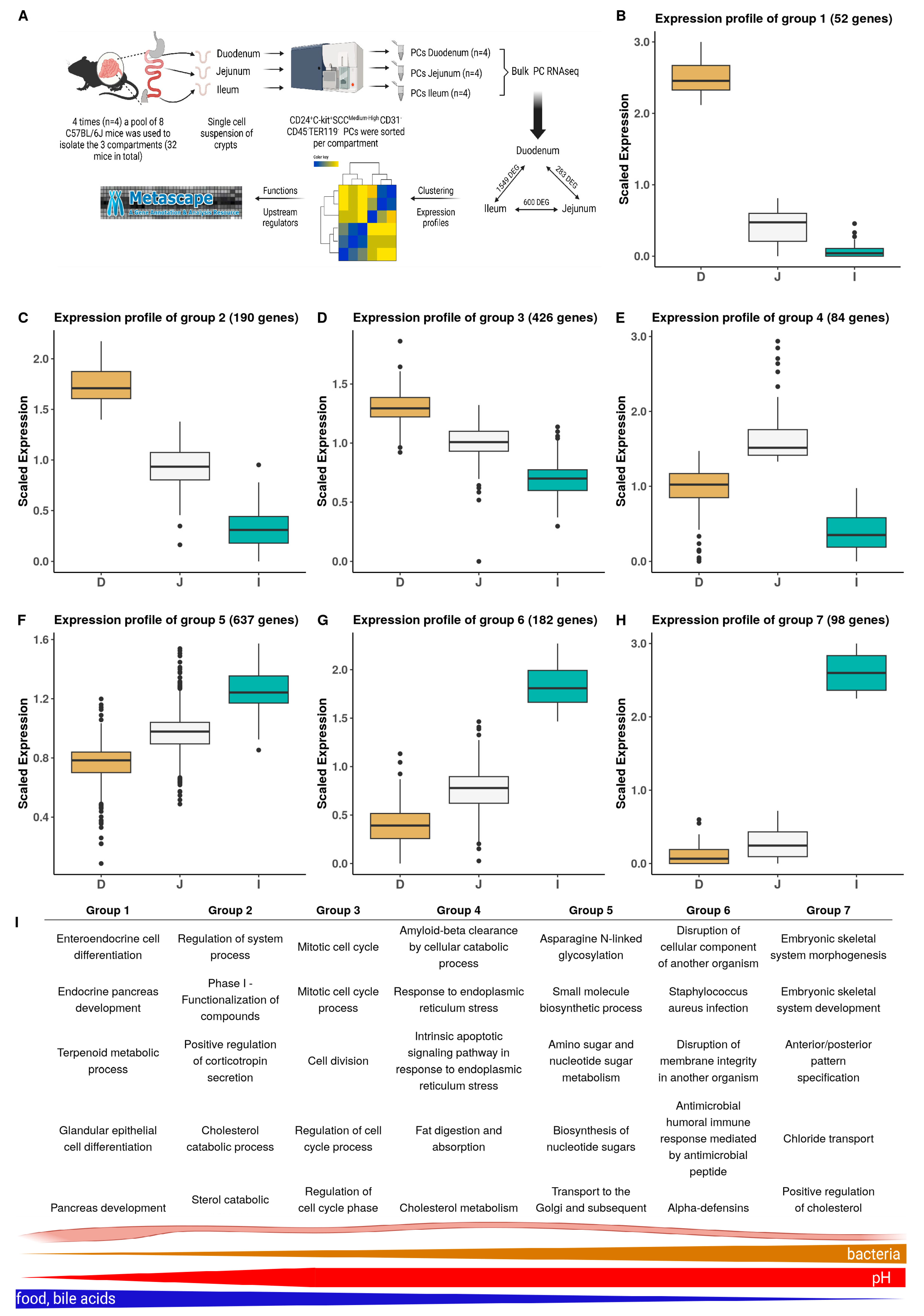 Cells 13 01435 g003 Cells 13 01435 g003