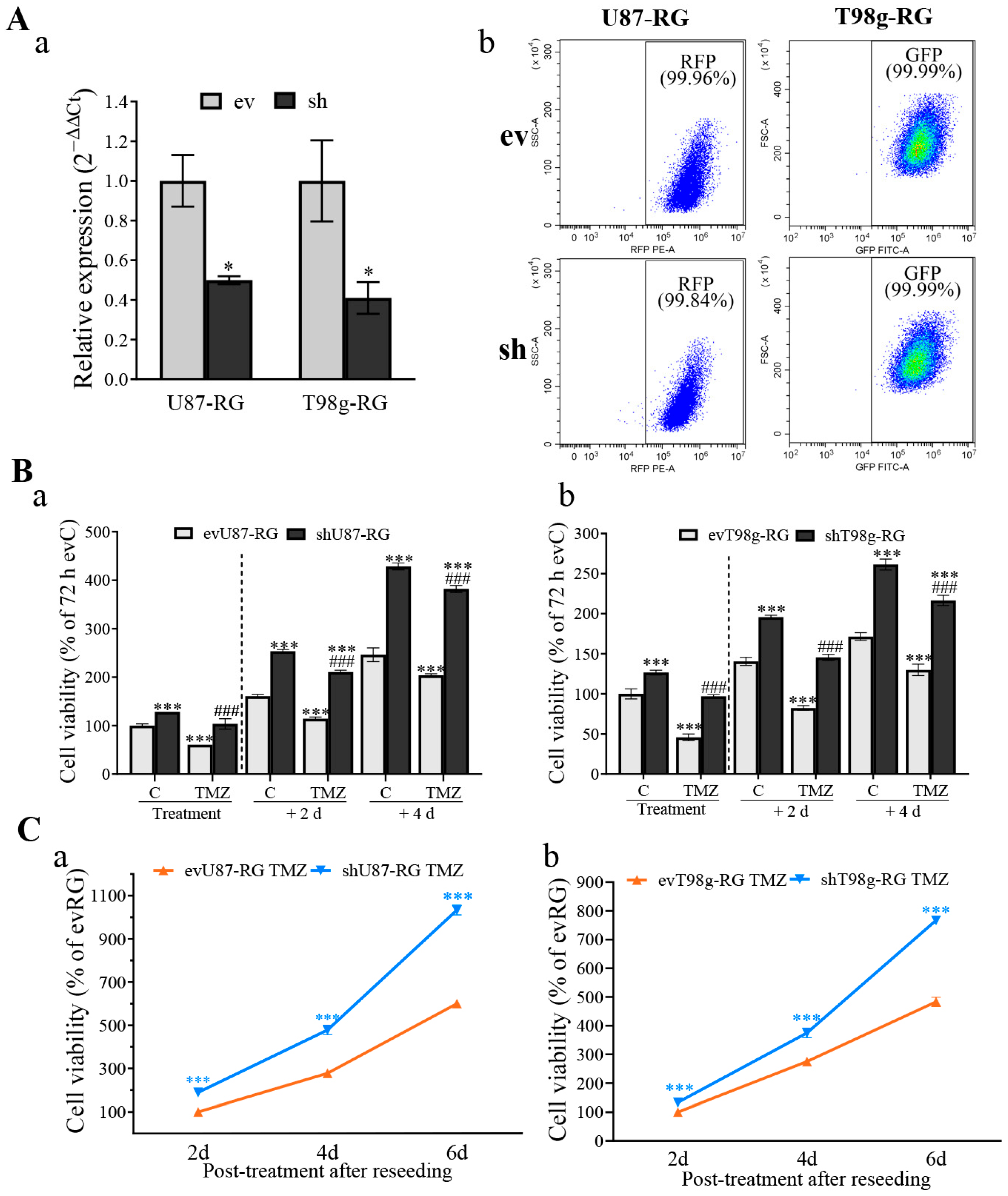 Cells 13 01442 g002 Cells 13 01442 g002