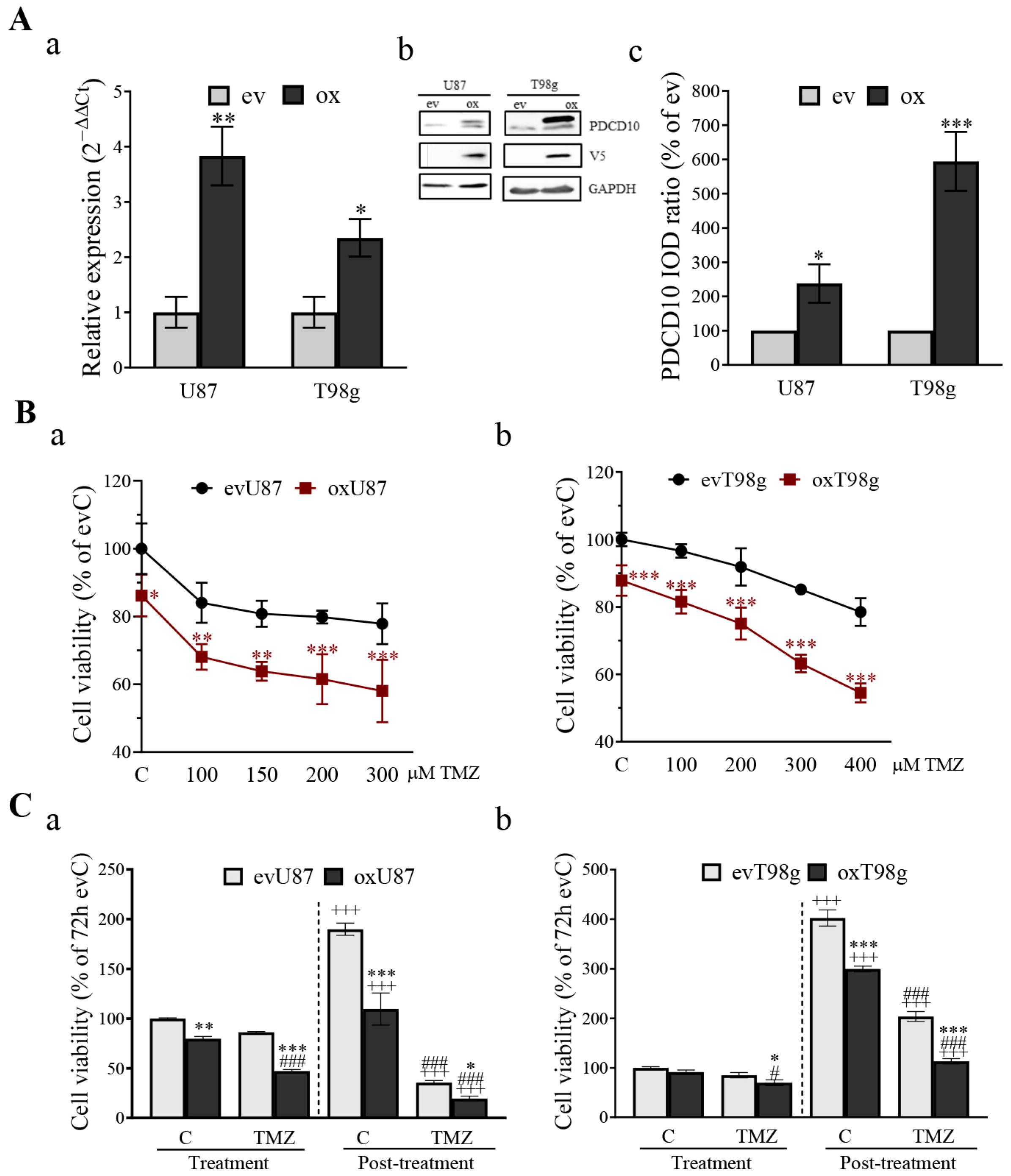 Cells 13 01442 g003 Cells 13 01442 g003