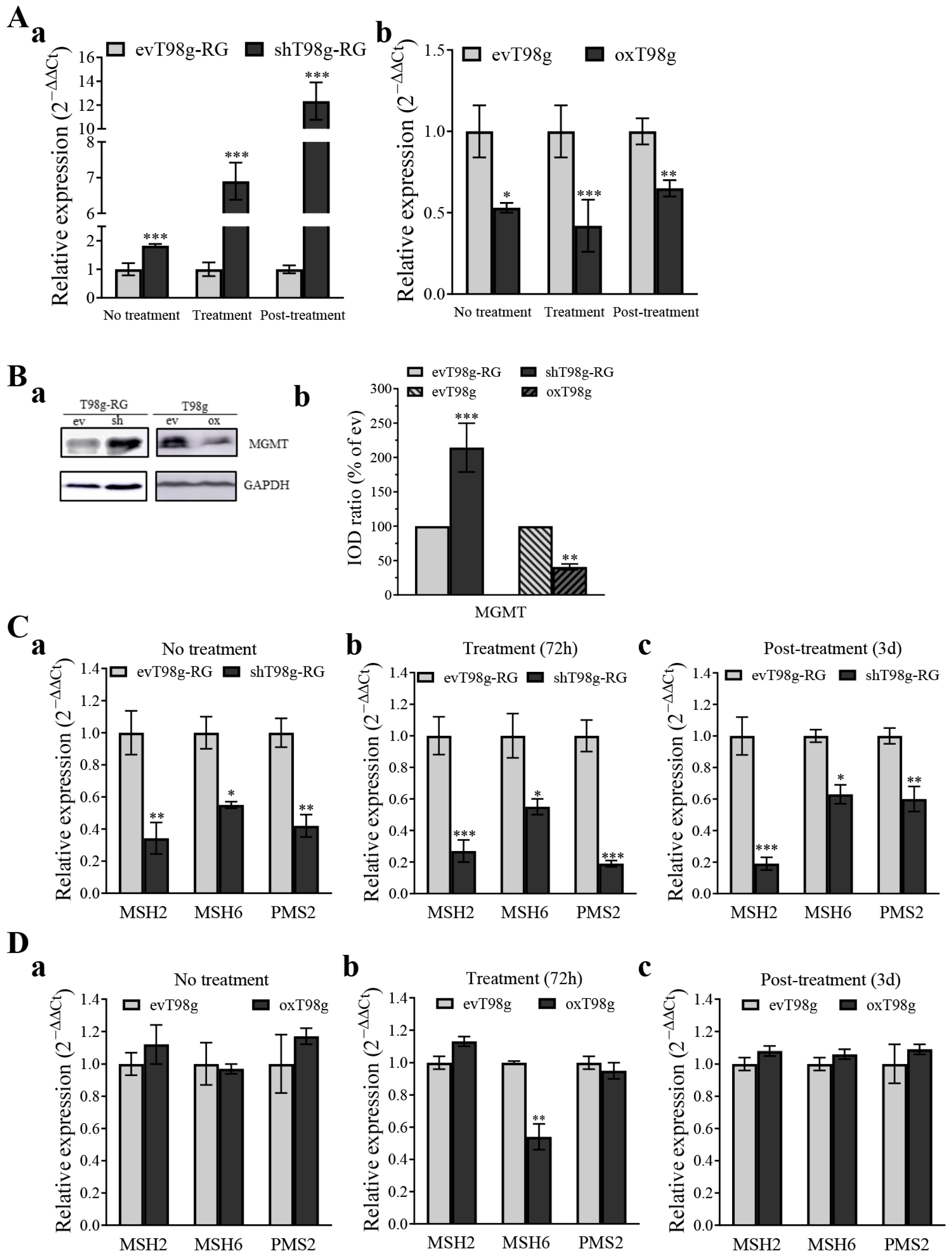 Cells 13 01442 g006 Cells 13 01442 g006
