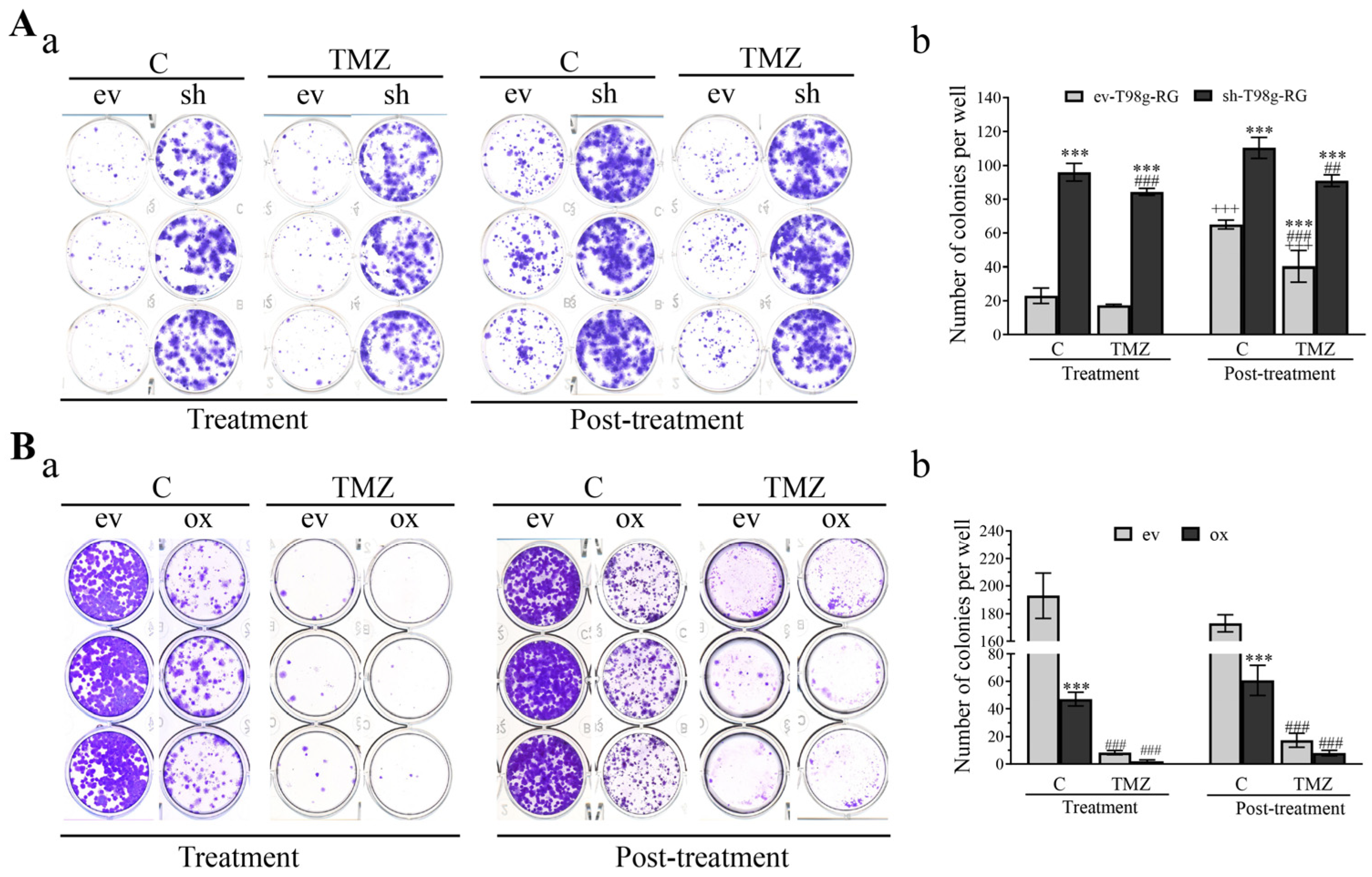 Cells 13 01442 g007 Cells 13 01442 g007