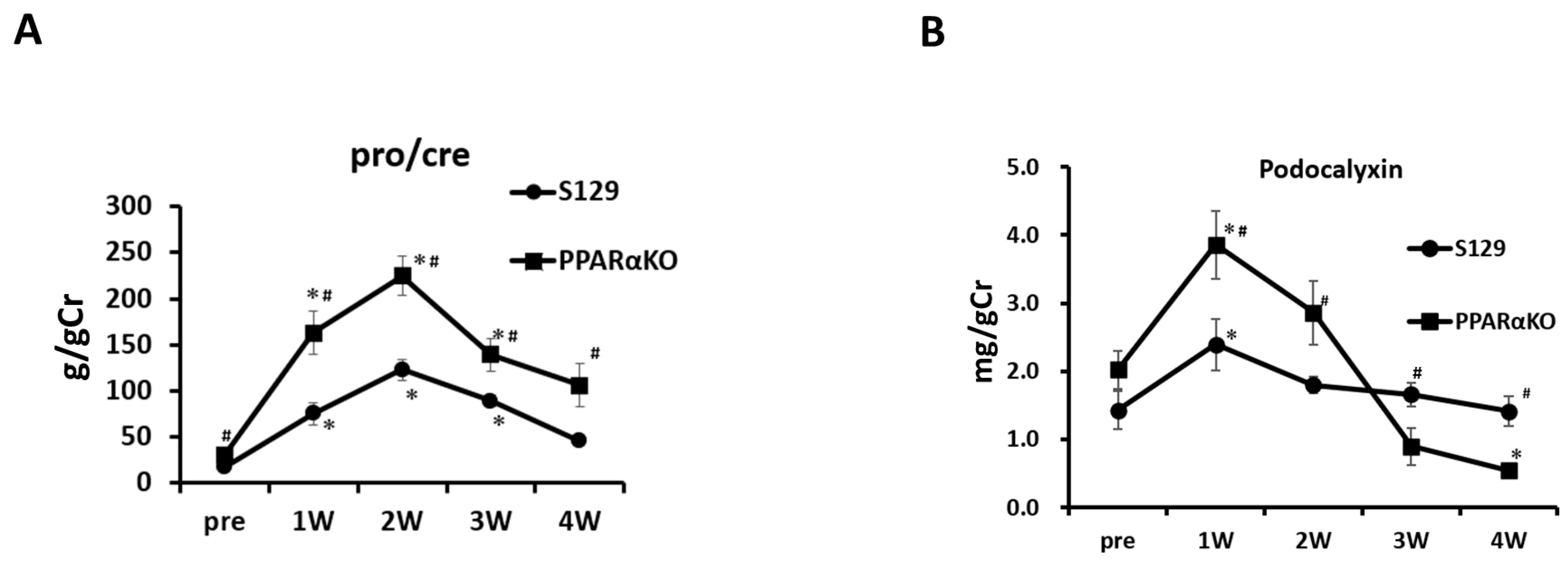 Cells 13 01446 g003a