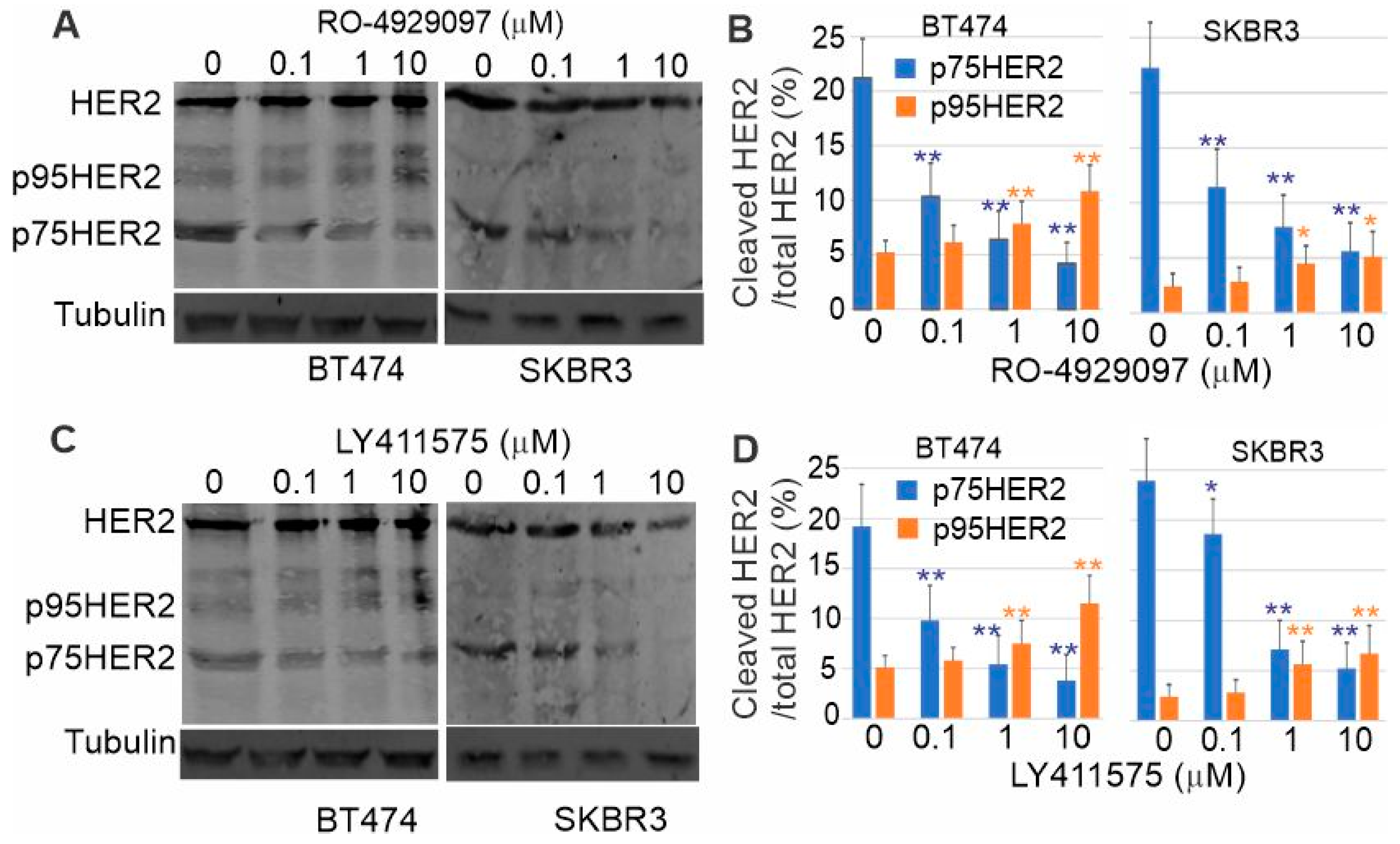 Cells 13 01452 g007 Cells 13 01452 g007