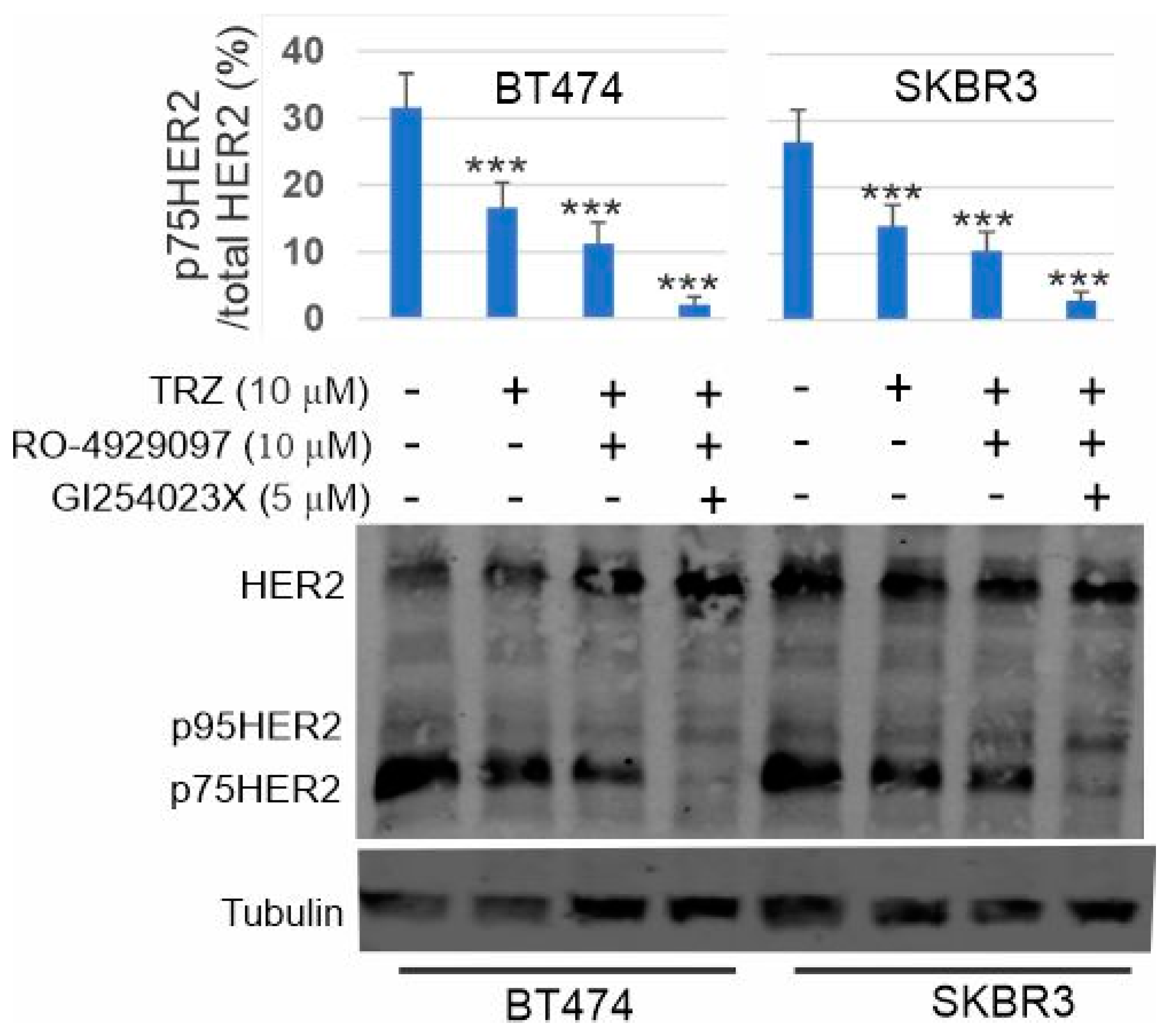 Cells 13 01452 g010 Cells 13 01452 g010