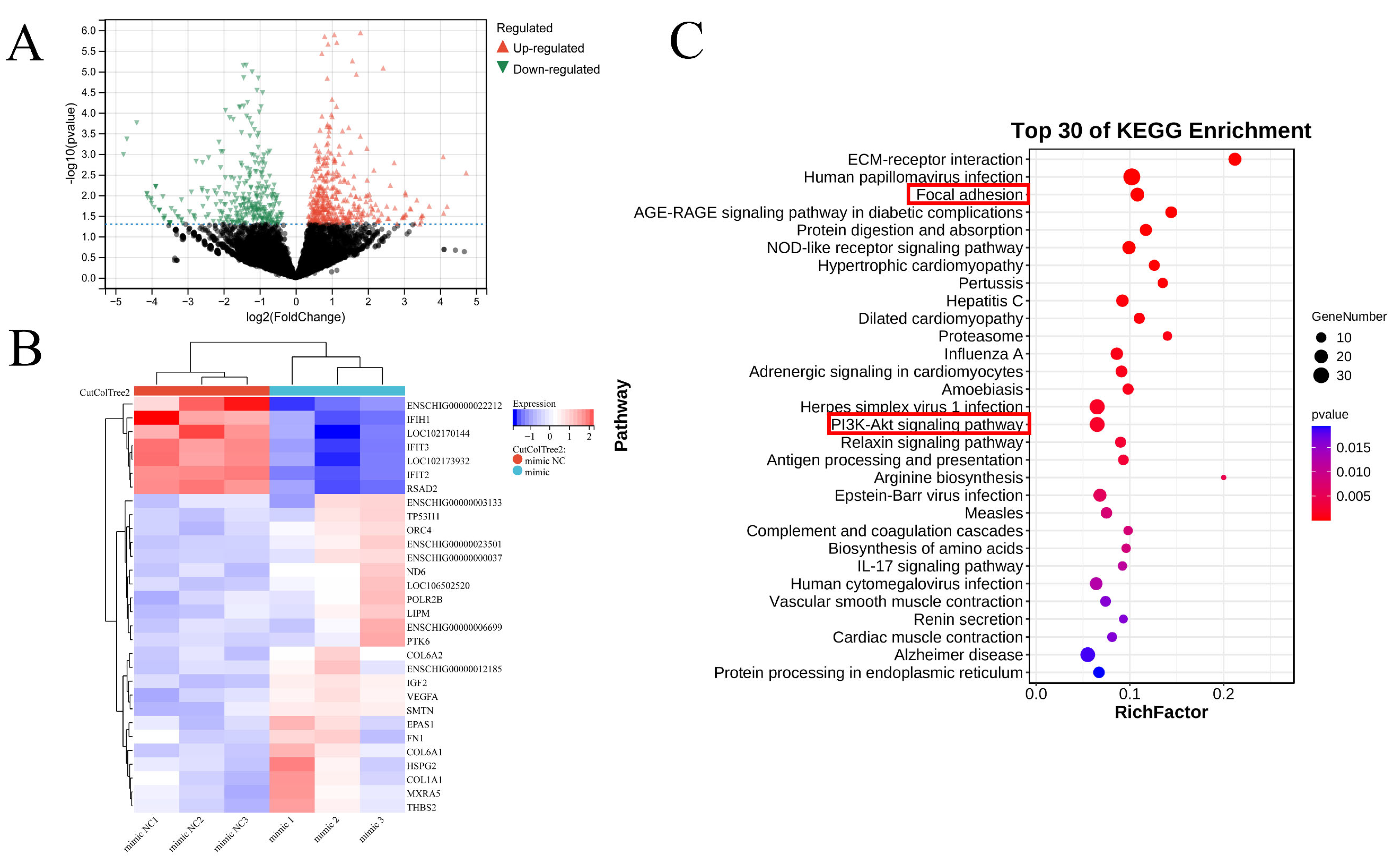 Cells 13 01459 g004 Cells 13 01459 g004