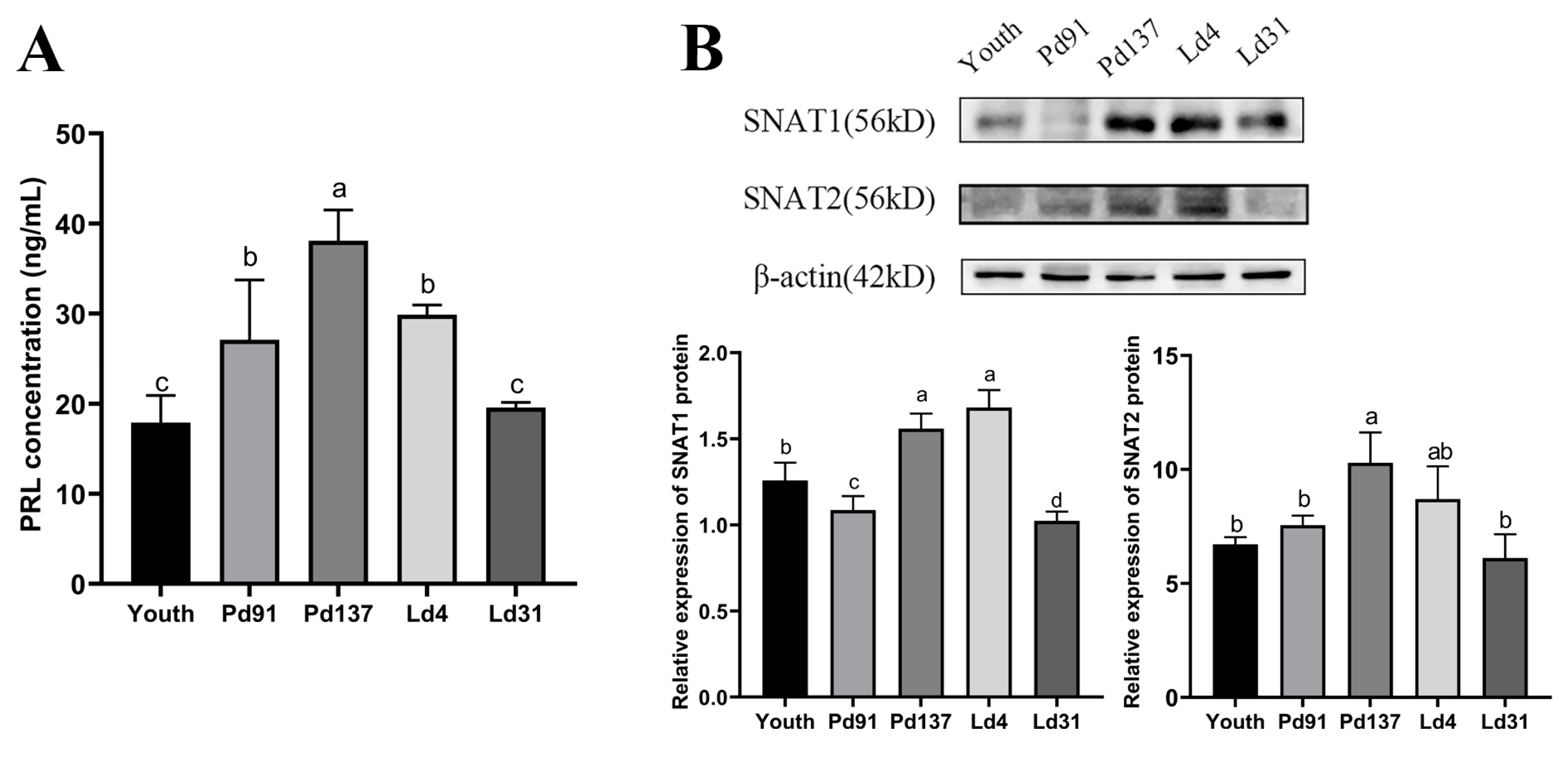 Cells 13 01461 g002 Cells 13 01461 g002