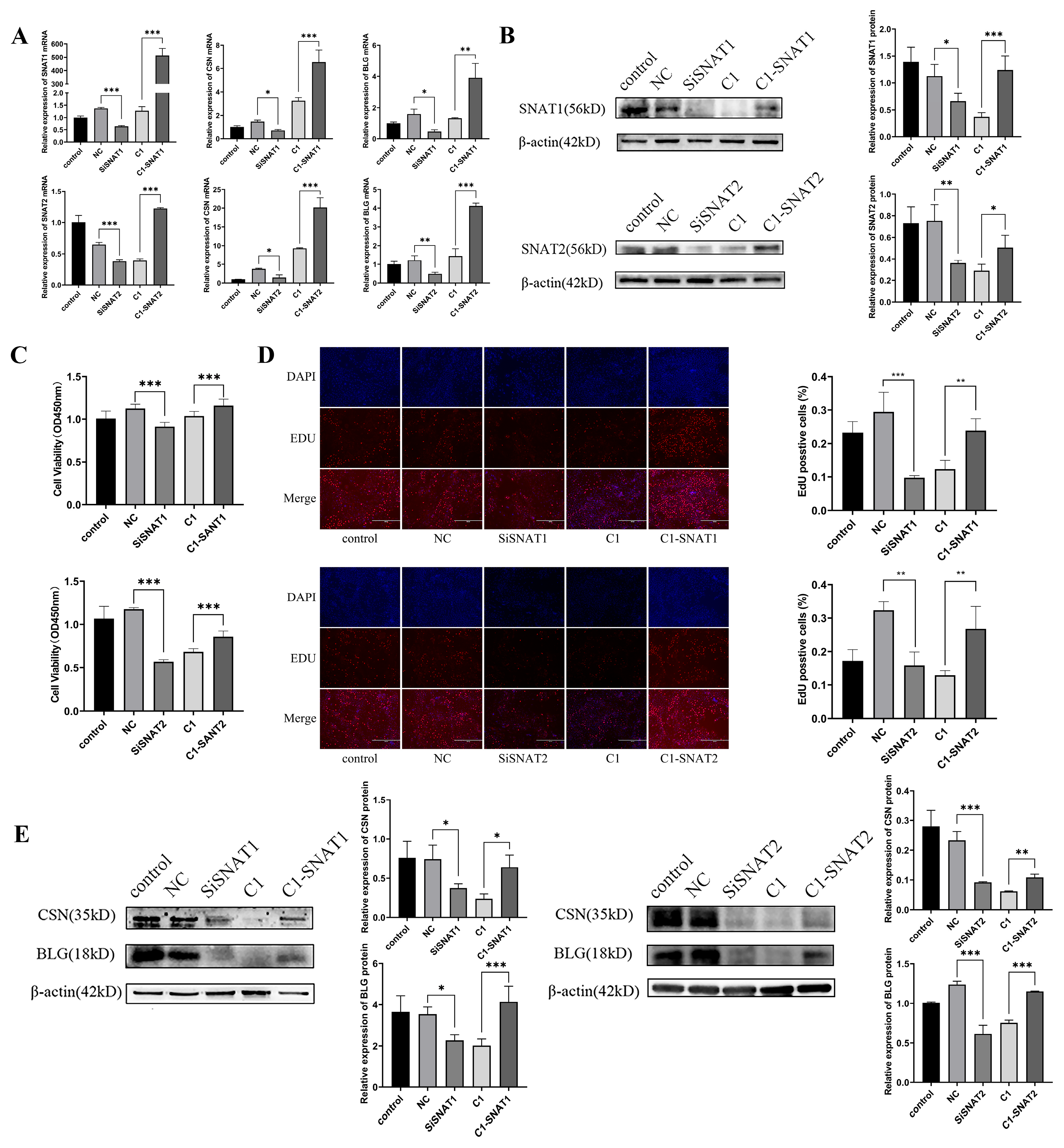 Cells 13 01461 g005 Cells 13 01461 g005