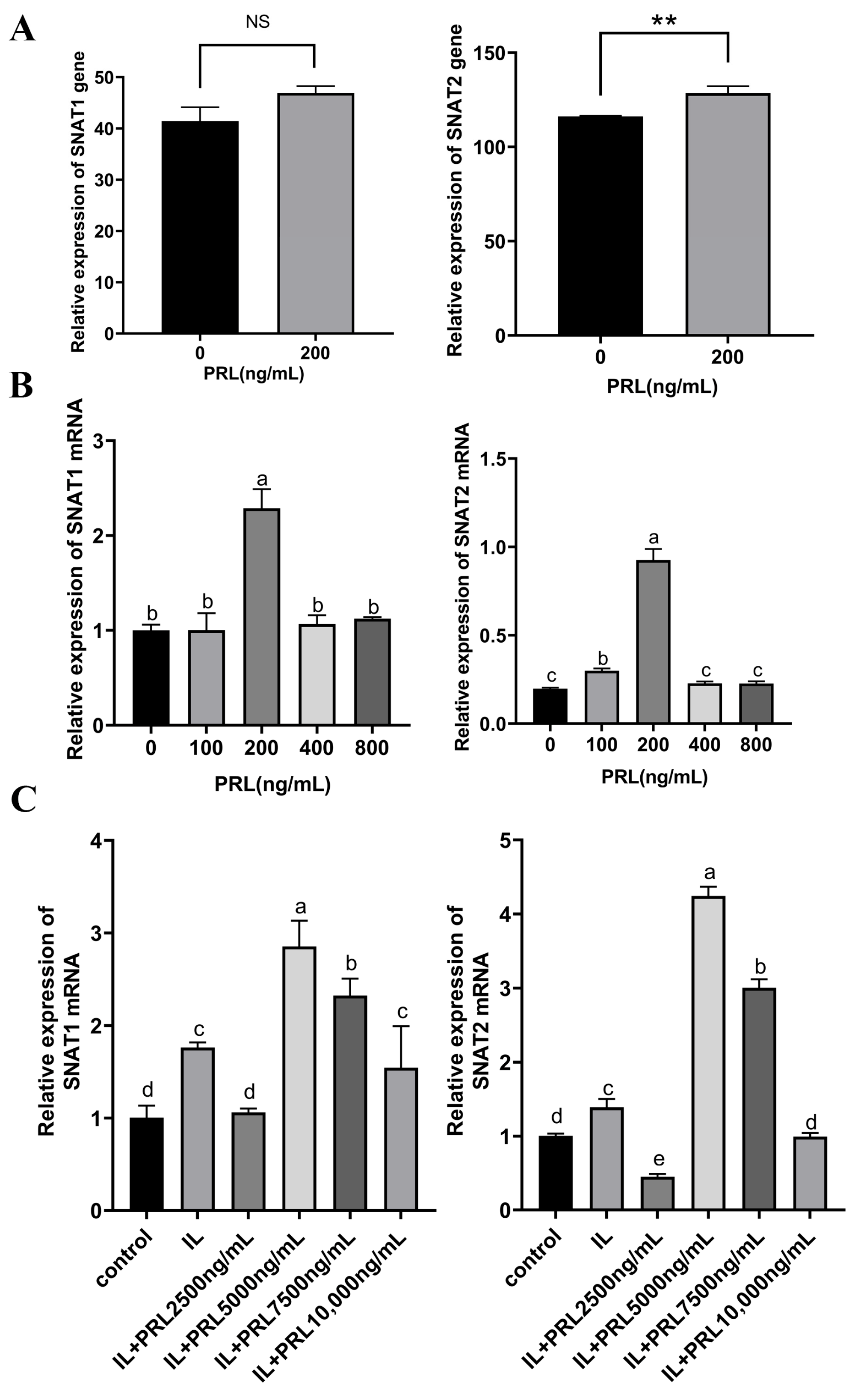 Cells 13 01461 g006 Cells 13 01461 g006