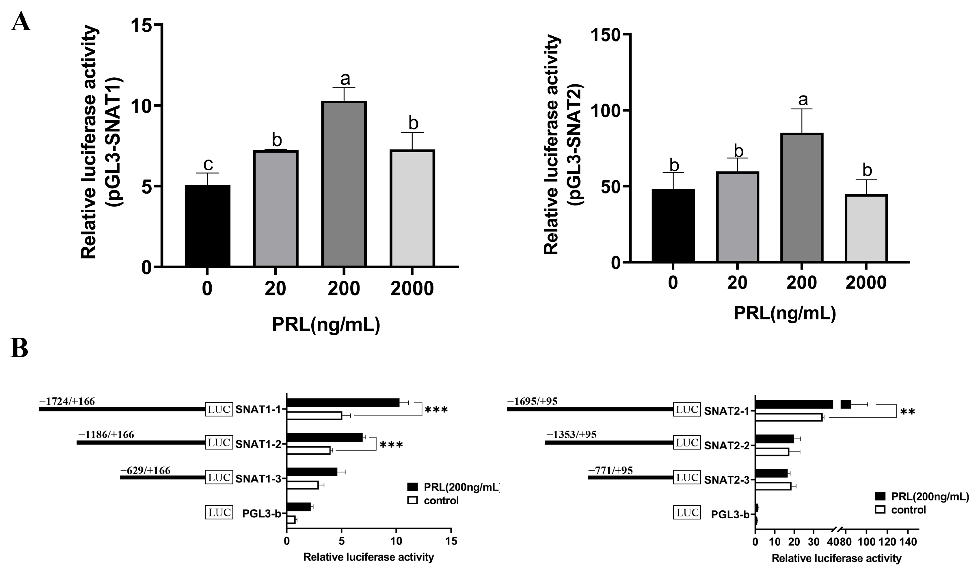Cells 13 01461 g007 Cells 13 01461 g007
