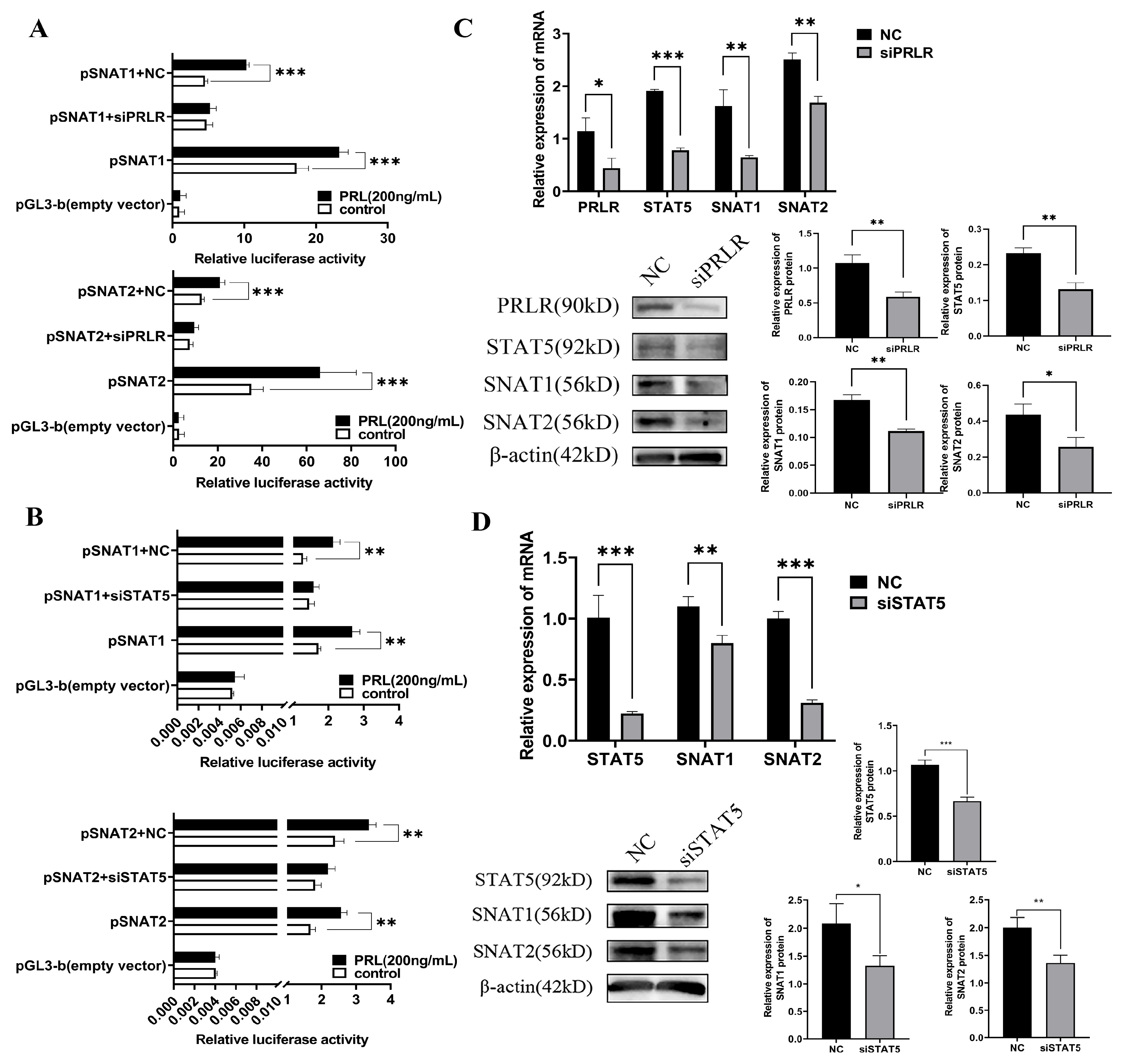 Cells 13 01461 g008 Cells 13 01461 g008
