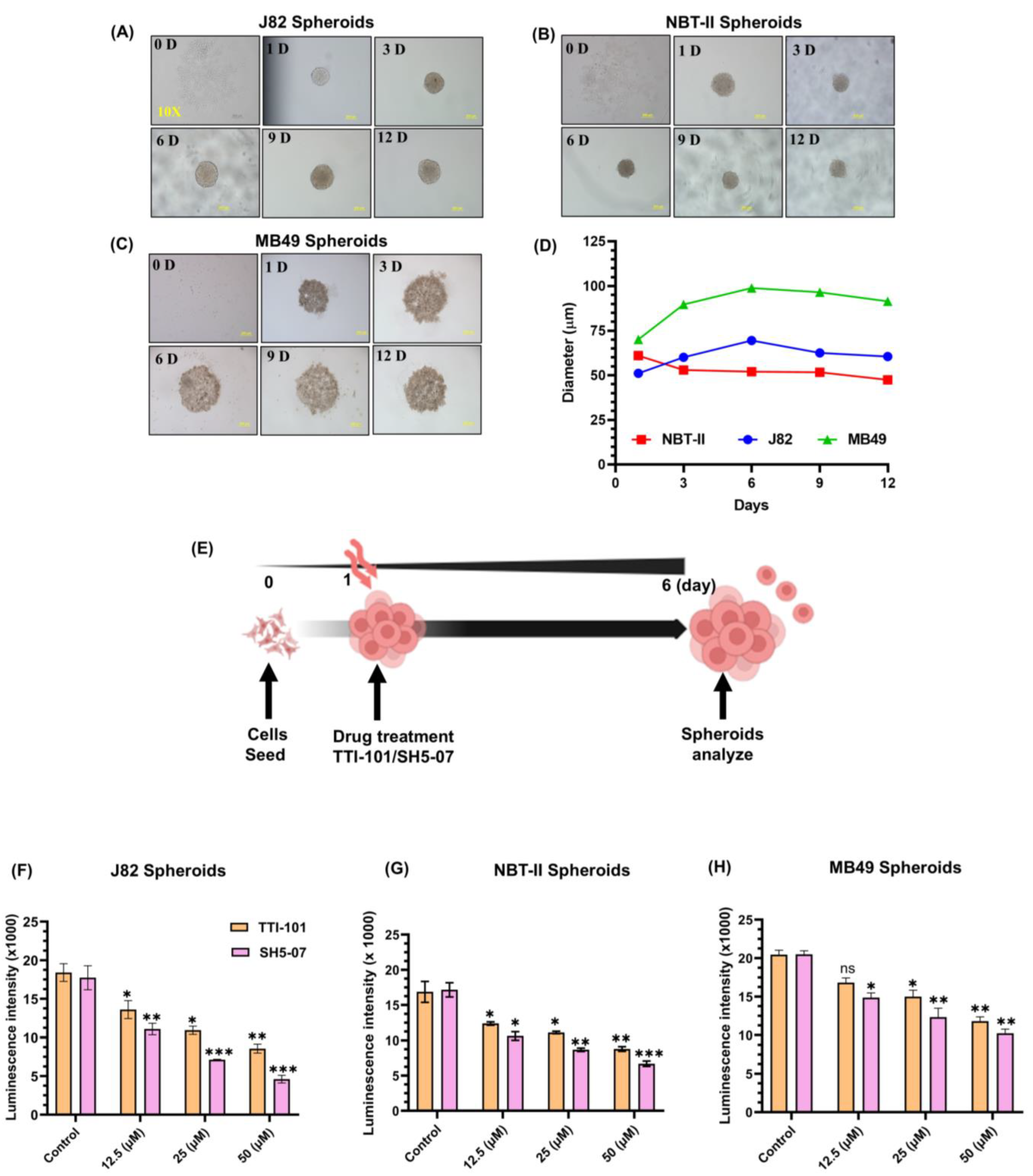 Cells 13 01463 g002a
