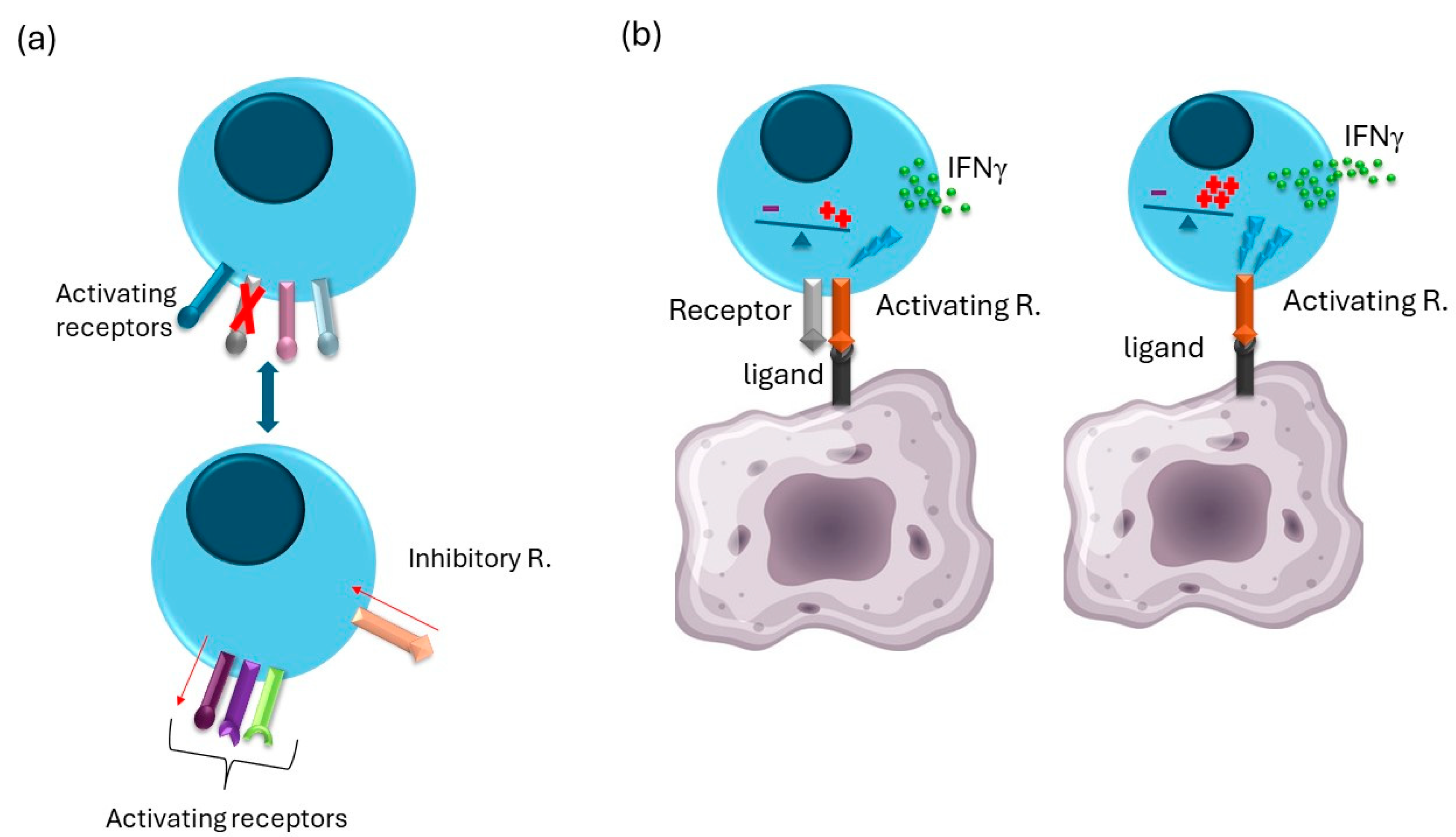 Cells 13 01464 g003 Cells 13 01464 g003
