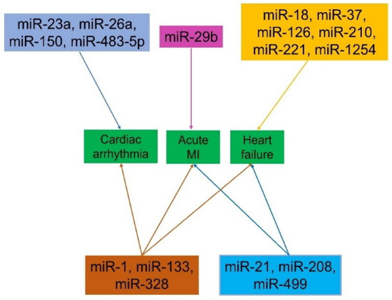 A Comprehensive Review of Cardiovascular Disease Management