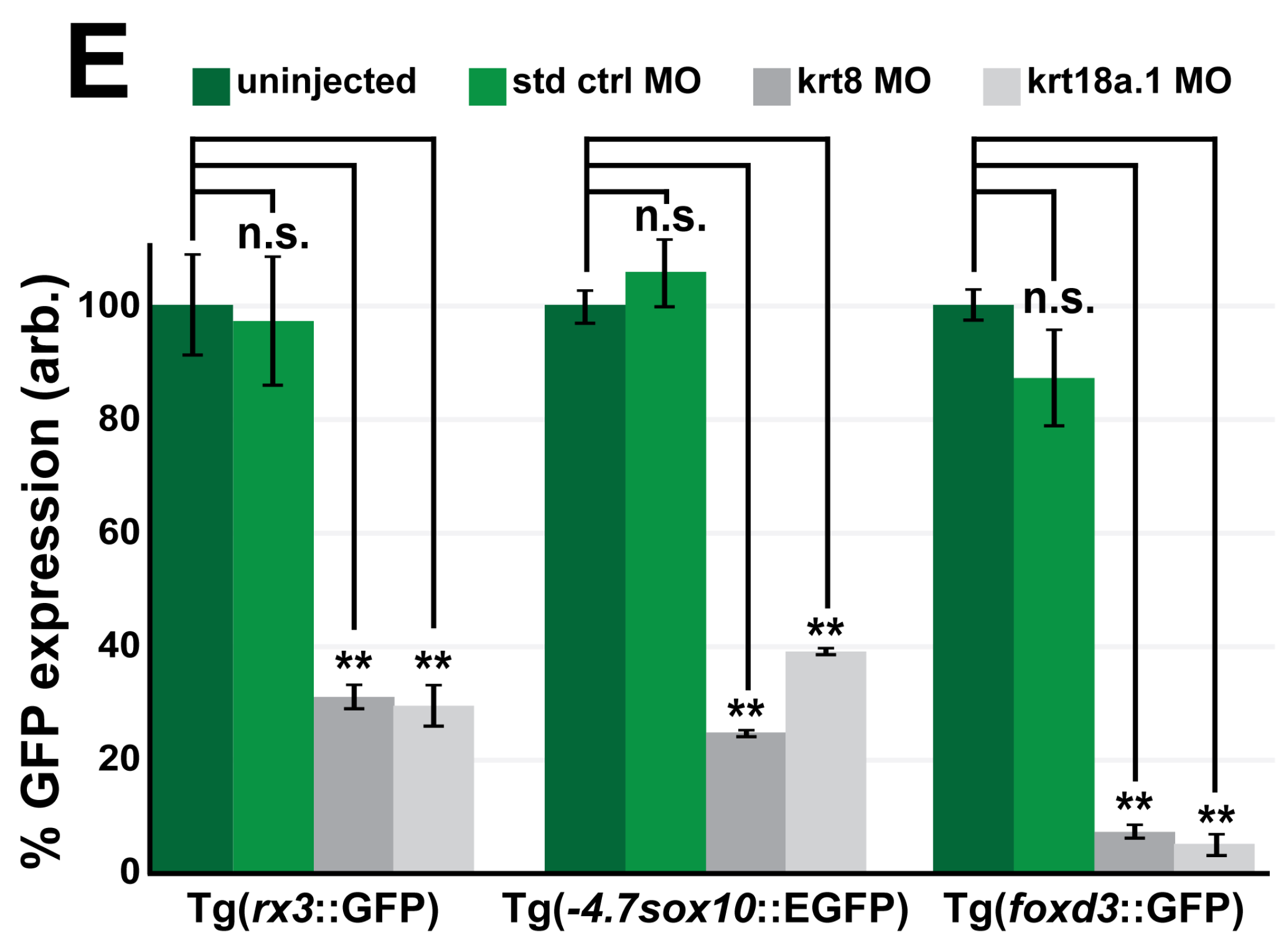 Cells 13 01473 g005b