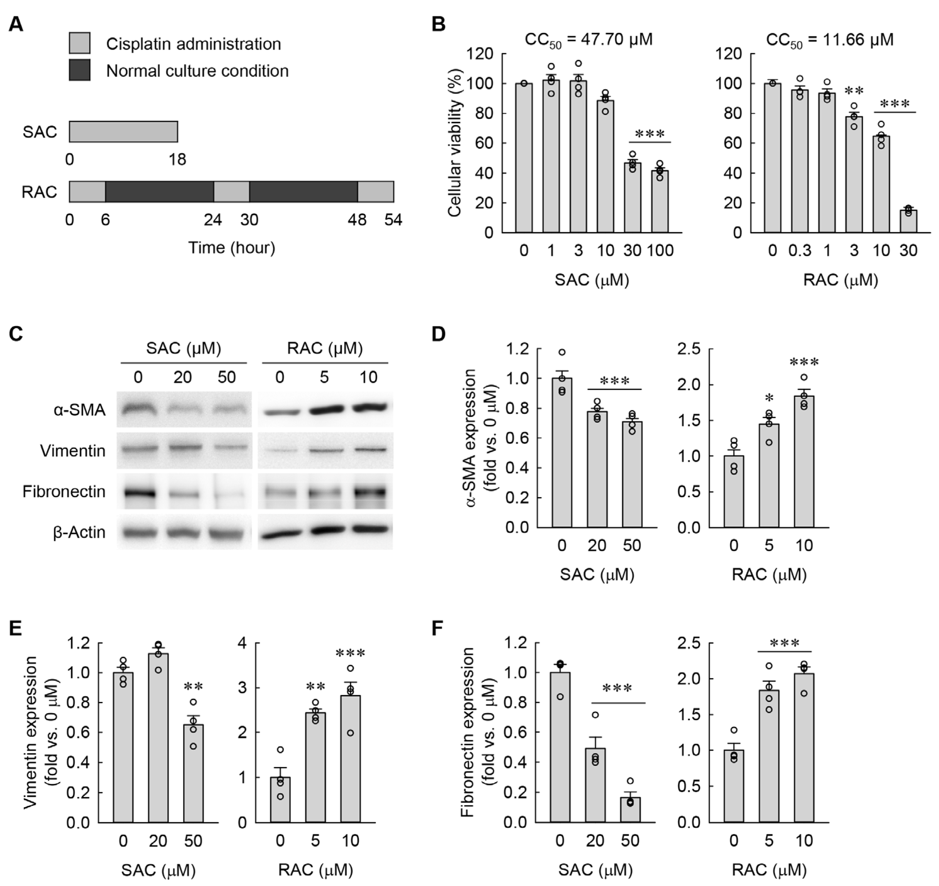Cells 13 01475 g001 Cells 13 01475 g001