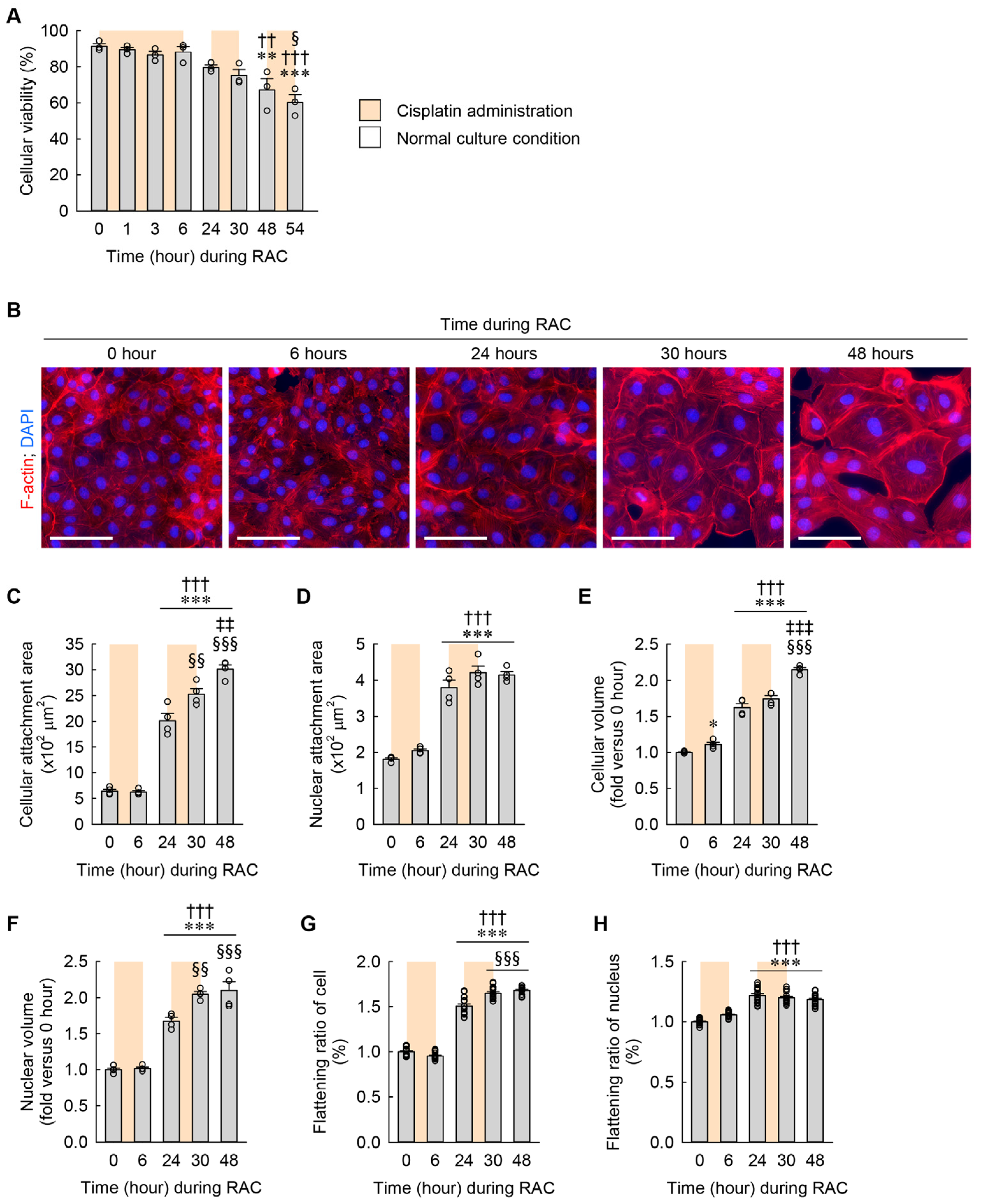 Cells 13 01475 g004 Cells 13 01475 g004
